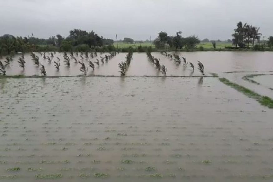જૂનાગઢના માંગરોળ પંથકને ધમરોળતા મેઘરાજા. ગરોળના ઓસા, નગીચાણા, અને ઘેડ વિસ્તારમાં જળબંબાકાર જેવી સ્થિતિ છે. ઓજત નદીના પૂરના પાણી ઘેડ પંથકમાં ફરી વળ્યા. મગફળીનો પાક નિષ્ફળ થાય તેવી શક્યતા<br />છે. વરસાદ વધશે તો પરિસ્થિતિ બગડે તેવી સ્થિતિ. જૂનાગઢના માંગરોળ પંથકને ધમરોળતા મેઘરાજા. ગરોળના ઓસા, નગીચાણા, અને ઘેડ વિસ્તારમાં જળબંબાકાર જેવી સ્થિતિ છે. ઓજત નદીના પૂરના પાણી ઘેડ પંથકમાં ફરી વળ્યા. મગફળીનો પાક નિષ્ફળ થાય તેવી શક્યતા<br />છે. વરસાદ વધશે તો પરિસ્થિતિ બગડે તેવી સ્થિતિ.