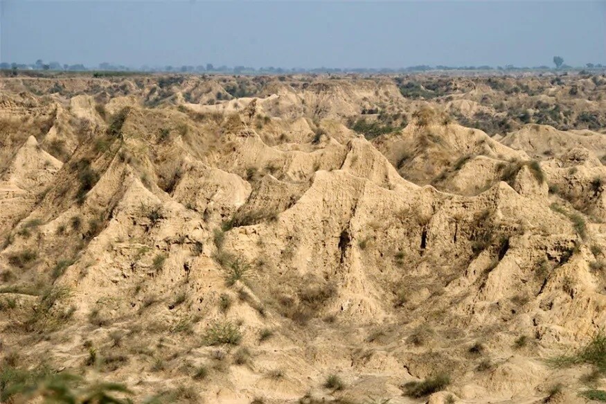 ડાકુઓ અને અપરાધીઓને શરણસ્થળ મનાતા ચંબલ (Chambal)માં હવે મોદી સરકાર (Modi Goverment) ખેતી કરવાની યોજના બનાવી રહી છે. જેમાં વિશ્વ બેંક પણ મદદ કરશે. કેન્દ્રીય કૃષિ મંત્રી નરેન્દ્ર સિંહ તોમરે આ મામલે જણાવ્યું કે અહીં 3 લાખ હેક્ટેર બિન ખેતી જમીનમાં કૃષિ વિકાસ કરવામાં આવશે. એક મહિનામાં તેનો પ્રારંભિક પરિયોજના રિપોર્ટ રજૂ કરવામાં આવશે. સરકારનો દાવો છે કે આમ કરવાથી આ ક્ષેત્રમાં ખેતી અને પર્યાવરણમાં સુધાર આવશે સાથે જ લોકોને રોજગાર મળશે. મધ્યપ્રદેશના અધિકારીઓ અને કૃષિ વિશેષજ્ઞોએ આ પરિયોજના પર સૈદ્ઘાંતિક સહમતિ દર્શાવી છે. ડાકુઓ અને અપરાધીઓને શરણસ્થળ મનાતા ચંબલ (Chambal)માં હવે મોદી સરકાર (Modi Goverment) ખેતી કરવાની યોજના બનાવી રહી છે. જેમાં વિશ્વ બેંક પણ મદદ કરશે. કેન્દ્રીય કૃષિ મંત્રી નરેન્દ્ર સિંહ તોમરે આ મામલે જણાવ્યું કે અહીં 3 લાખ હેક્ટેર બિન ખેતી જમીનમાં કૃષિ વિકાસ કરવામાં આવશે. એક મહિનામાં તેનો પ્રારંભિક પરિયોજના રિપોર્ટ રજૂ કરવામાં આવશે. સરકારનો દાવો છે કે આમ કરવાથી આ ક્ષેત્રમાં ખેતી અને પર્યાવરણમાં સુધાર આવશે સાથે જ લોકોને રોજગાર મળશે. મધ્યપ્રદેશના અધિકારીઓ અને કૃષિ વિશેષજ્ઞોએ આ પરિયોજના પર સૈદ્ઘાંતિક સહમતિ દર્શાવી છે.