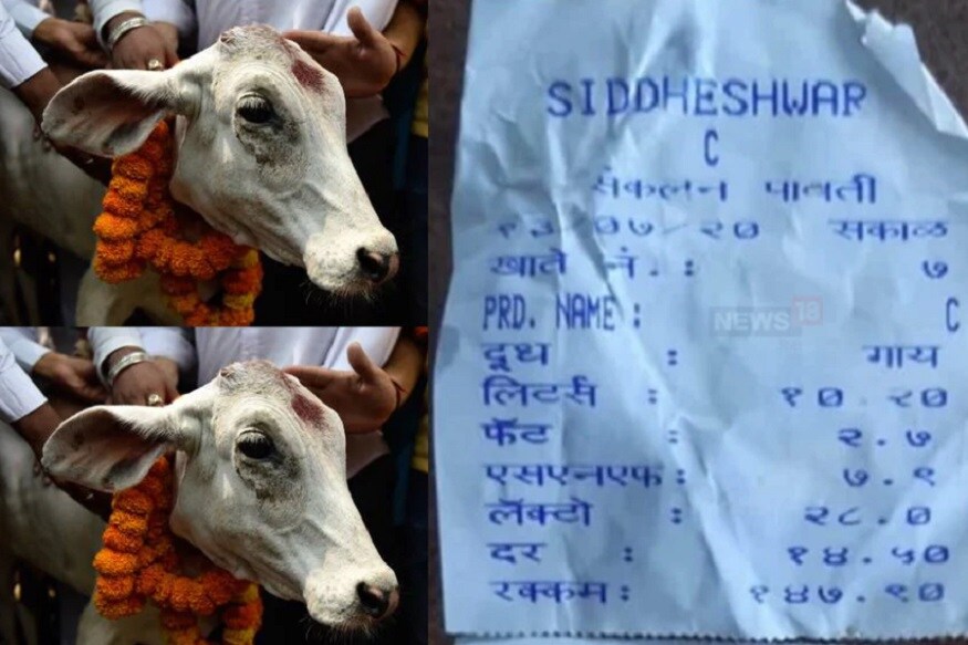 મંગળવારે ખેડૂતોએ ઠેરઠેર દૂધ ઢોળીને રાજ્યસરકારની સામે વિરોધ નોંધાવ્યો અને ઓછામાં ઓછા દૂધનો ભાવ સરકારી ડેરીઓમાં 30 રૂપિયા આપવાની માંગ કરી. અથવા તો પ્રતિ લીટર 10 રૂપિયાની સહાય ચુકવવાની માંગ કર છે. ડેરી દલીલ કરી રહી છે કે દૂધની માંગ ઘટી જતા જૂના ભાવે ખરીદી મુશ્કેલ છે. મંગળવારે ખેડૂતોએ ઠેરઠેર દૂધ ઢોળીને રાજ્યસરકારની સામે વિરોધ નોંધાવ્યો અને ઓછામાં ઓછા દૂધનો ભાવ સરકારી ડેરીઓમાં 30 રૂપિયા આપવાની માંગ કરી. અથવા તો પ્રતિ લીટર 10 રૂપિયાની સહાય ચુકવવાની માંગ કર છે. ડેરી દલીલ કરી રહી છે કે દૂધની માંગ ઘટી જતા જૂના ભાવે ખરીદી મુશ્કેલ છે.