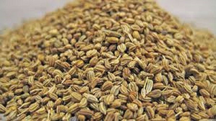 અડધી ચમચી અજમો અને અડધી ચમચી સાકર નાગરવેલના પાનમાં નાખીને તેને ચાવવાથી ખોટી ખાંસી મટે છે. દિવસમાં સવાર-સાંજ બે વખત ઉપયોગ કરવો. અડધી ચમચી અજમો અને અડધી ચમચી સાકર નાગરવેલના પાનમાં નાખીને તેને ચાવવાથી ખોટી ખાંસી મટે છે. દિવસમાં સવાર-સાંજ બે વખત ઉપયોગ કરવો.