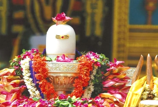 ભગવાન શિવને તેવા દેવ કહેવાય છે પ્રસન્ન થાય તો કોઇ પણ અશક્ય વરદાનને પણ શક્ય કરીને તમને આપી શકે અને જો તે ગુસ્સે થાય તો વિનાશ પણ નોતરી શકે છે. આ વર્ષે શ્રાવણ ના મહિનામાં જો તમે કોઇ મનોકામના પૂર્ણ થવાની આશા સાથે શિવપૂજા કરી રહ્યા હોવ તો જાણો શિવજીને પૂજામાં કેવું ફૂલ ચડાવવાથી તમારી મનોકામના જલ્દી પૂરી થઇ શકે છે. ભગવાન શિવને તેવા દેવ કહેવાય છે પ્રસન્ન થાય તો કોઇ પણ અશક્ય વરદાનને પણ શક્ય કરીને તમને આપી શકે અને જો તે ગુસ્સે થાય તો વિનાશ પણ નોતરી શકે છે. આ વર્ષે શ્રાવણ ના મહિનામાં જો તમે કોઇ મનોકામના પૂર્ણ થવાની આશા સાથે શિવપૂજા કરી રહ્યા હોવ તો જાણો શિવજીને પૂજામાં કેવું ફૂલ ચડાવવાથી તમારી મનોકામના જલ્દી પૂરી થઇ શકે છે.