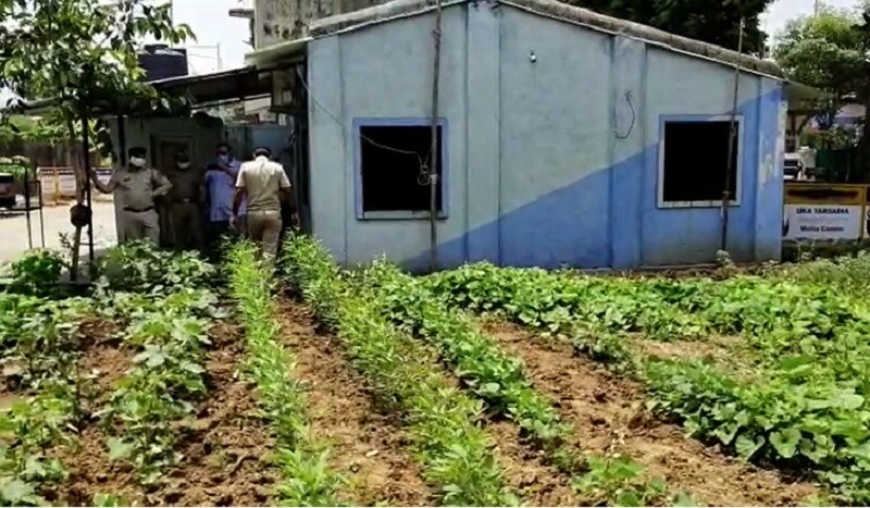 ત્યારે અહીંયા તહેનાત એસીપી શેખ દ્વારા પોતાના સ્ટાફને અને ખાસ કરીને કોરોના લોકડાઉન વચ્ચે એક વિચાર આવતા તેમને પોતાના પોલીસ ચોકીમાં ફાજલ પડેલ જગ્યામાં ખેતી શરૂ કરી છે. અહીં અનેક પ્રકારના શાકભાજીનું વાવેતર કર્યુ છે. જોકે, પોતાના અધિકારી પહેલા બાદ ધીરે ધીરે સ્ટાફના માણસો પણ આ કામમાં જોતરાતા ગયા અને જોત જોતામાં શાકભાજી સાથે અનેક પ્રકારની ભાજીનું પણ વાવેતર કર્યું છે. ત્યારે અહીંયા તહેનાત એસીપી શેખ દ્વારા પોતાના સ્ટાફને અને ખાસ કરીને કોરોના લોકડાઉન વચ્ચે એક વિચાર આવતા તેમને પોતાના પોલીસ ચોકીમાં ફાજલ પડેલ જગ્યામાં ખેતી શરૂ કરી છે. અહીં અનેક પ્રકારના શાકભાજીનું વાવેતર કર્યુ છે. જોકે, પોતાના અધિકારી પહેલા બાદ ધીરે ધીરે સ્ટાફના માણસો પણ આ કામમાં જોતરાતા ગયા અને જોત જોતામાં શાકભાજી સાથે અનેક પ્રકારની ભાજીનું પણ વાવેતર કર્યું છે.