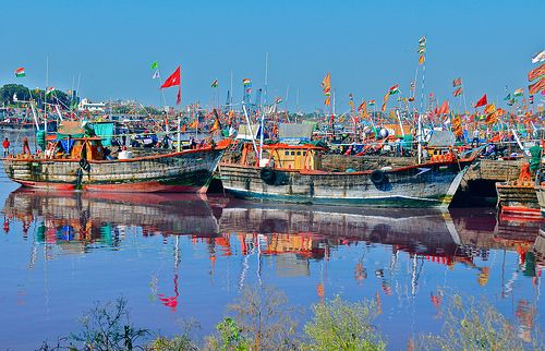 5 હજાર કરોડની થતી ફિશ સપ્લાયમાં ઘટાડો આવી 3700 કરોડની આસપાસ પહોંચી ગયો છે. ગુજરાત રાજ્યમાંથી પકડાતી 70 ટકા માછલીઓની ચીનમાં નિકાસ થાય છે. પરંતુ લોકડાઉન અને સરહદી વિવાદને કારણે હાલનાં સમયમાં નિકાસ 25 ટકા ઘટી ગઈ છે. તેવામાં ઓગષ્ટ માસથી શરૂ થતી માછીમારોની નવી સીઝન પડકારજનક બની જશે. 5 હજાર કરોડની થતી ફિશ સપ્લાયમાં ઘટાડો આવી 3700 કરોડની આસપાસ પહોંચી ગયો છે. ગુજરાત રાજ્યમાંથી પકડાતી 70 ટકા માછલીઓની ચીનમાં નિકાસ થાય છે. પરંતુ લોકડાઉન અને સરહદી વિવાદને કારણે હાલનાં સમયમાં નિકાસ 25 ટકા ઘટી ગઈ છે. તેવામાં ઓગષ્ટ માસથી શરૂ થતી માછીમારોની નવી સીઝન પડકારજનક બની જશે.
