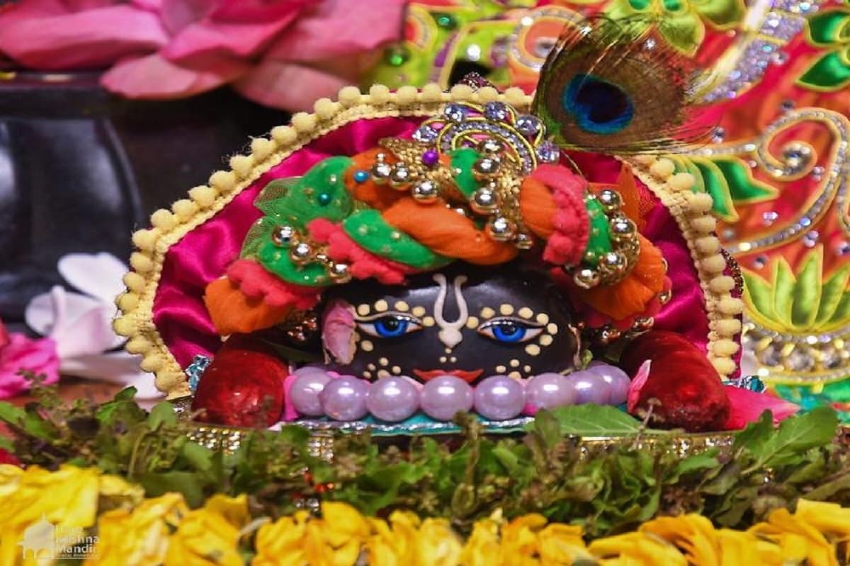 ભાડજ સ્થિત હરે કૃષ્ણ મંદિરના સંચાલક રાયારામદાસજી જણાવ્યું હતું કે મંદિર દ્વારા 11 તારીખથી મંદિર ત્રણ દિવસ ભક્તો માટે બંધ રાખવામાં આવ્યું છે. પરંતુ મંદિરમાં ભગવાન કૃષ્ણનાં જન્મ મહોત્સવની તમામ વિધિઓ કરવામાં ચાલું છે. સવારથી લઇ સાંજ સુધી અનેક વિધિઓ ચાલી હતી. ભાડજ સ્થિત હરે કૃષ્ણ મંદિરના સંચાલક રાયારામદાસજી જણાવ્યું હતું કે મંદિર દ્વારા 11 તારીખથી મંદિર ત્રણ દિવસ ભક્તો માટે બંધ રાખવામાં આવ્યું છે. પરંતુ મંદિરમાં ભગવાન કૃષ્ણનાં જન્મ મહોત્સવની તમામ વિધિઓ કરવામાં ચાલું છે. સવારથી લઇ સાંજ સુધી અનેક વિધિઓ ચાલી હતી.