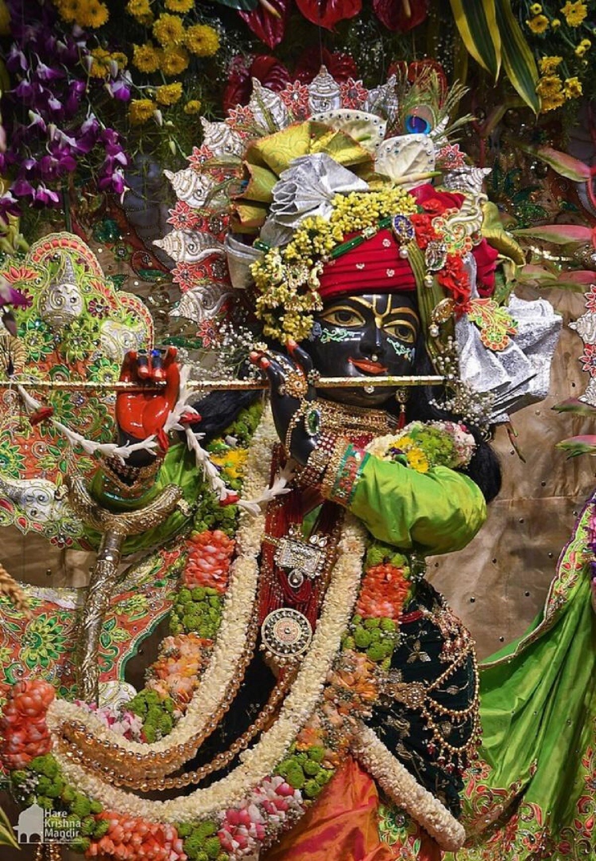 આ ઉપરાંત વિવિધ ફૂલોથી મંદિર ગર્ભગૃહને શણગારવામાં આવ્યો હતો. ફૂલોની મહેકથી સમગ્ર મંદિર પ્રટાંગણ મહેંકી ઉઠ્યું હતું. (તમામ તસવીરો ભાડજ હરિકૃષ્ણ મંદિર) આ ઉપરાંત વિવિધ ફૂલોથી મંદિર ગર્ભગૃહને શણગારવામાં આવ્યો હતો. ફૂલોની મહેકથી સમગ્ર મંદિર પ્રટાંગણ મહેંકી ઉઠ્યું હતું. (તમામ તસવીરો ભાડજ હરિકૃષ્ણ મંદિર)
