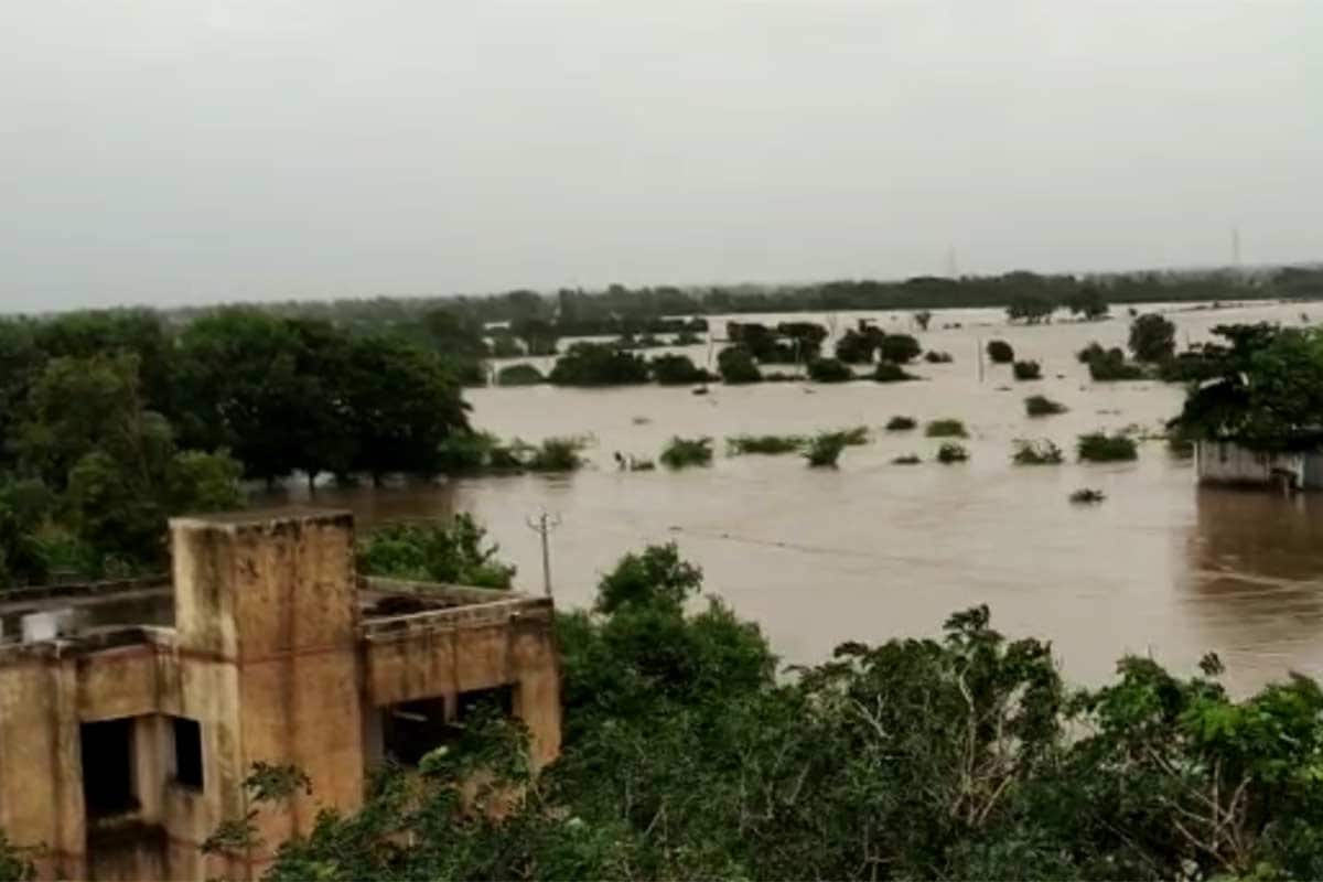 રાજ્યમાં લો પ્રેશર અને સાયક્લોનિક સર્ક્યુલેશન સિસ્ટમ સક્રિય છે. જેના કારણે ભારેથી અતિભારે વરસાદ પડી રહ્યો છે. હવામાન વિભાગ દ્વારા હજુ આગામી 5 દિવસ ભારેથી અતિભારે વરસાદની આગાહી કરવામાં આવી છે. હવામાન વિભાગ દ્વારા ગુજરાતના કયા કયા જિલ્લામાં કેવો વરસાદ પડશે તેની પણ માહિતી આપવામાં આવી છે. હવામાન વિભાગની આગાહી પ્રમાણે 20મી ઓગસ્ટ સુધીમાં ગુજરાતનાં અનેક વિસ્તારોમાં ભારેથી અતિભારે વરસાદની આગાહી છે. આ આગાહીને કારણે તંત્ર પણ એલર્ટ થયુ છે. નદી કિનારાના વિસ્તારોને એલર્ટ કરાયા છે. ભારે વરસાદના પગલે પાણી ભરાતા હોય તેવો કોઝ-વે બંધ કરવા સૂચના પણ આપવામાં આવી છે. રાજ્યમાં લો પ્રેશર અને સાયક્લોનિક સર્ક્યુલેશન સિસ્ટમ સક્રિય છે. જેના કારણે ભારેથી અતિભારે વરસાદ પડી રહ્યો છે. હવામાન વિભાગ દ્વારા હજુ આગામી 5 દિવસ ભારેથી અતિભારે વરસાદની આગાહી કરવામાં આવી છે. હવામાન વિભાગ દ્વારા ગુજરાતના કયા કયા જિલ્લામાં કેવો વરસાદ પડશે તેની પણ માહિતી આપવામાં આવી છે. હવામાન વિભાગની આગાહી પ્રમાણે 20મી ઓગસ્ટ સુધીમાં ગુજરાતનાં અનેક વિસ્તારોમાં ભારેથી અતિભારે વરસાદની આગાહી છે. આ આગાહીને કારણે તંત્ર પણ એલર્ટ થયુ છે. નદી કિનારાના વિસ્તારોને એલર્ટ કરાયા છે. ભારે વરસાદના પગલે પાણી ભરાતા હોય તેવો કોઝ-વે બંધ કરવા સૂચના પણ આપવામાં આવી છે.