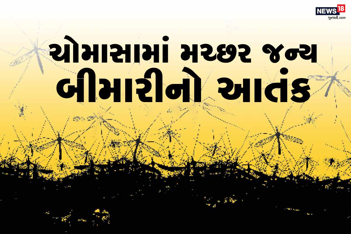  દેશમાં હાલ ચોમાસાની (Monsoon Weather) ઋતુ ચાલી રહી છે. જે મચ્છરજન્ય (Mosquito borne diseases) બિમારીમાં વધારો કરી રહી છે. એક તરફ કોરોના વાયરસ (Covid 19) અને બીજી તરફ મેલેરિયા, ડેન્ગ્યૂ અને ચિકનગુનિયા જેવી બિમારી લોકોને પોતાનો શિકાર બનાવી રહી છે. જેના કારણે દેશના અનેક લોકો બિમાર થઇ રહ્યા છે. અને આ મચ્છર જન્ય બિમારીથી મૃત્યુદર પણ મોટો છે.