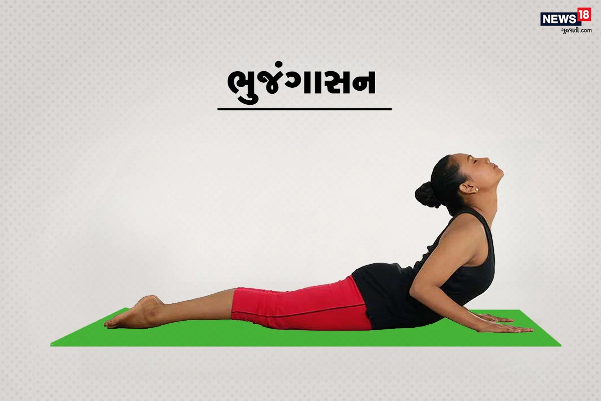 ભુજંગાસન- આ આસનને કોબરા પોઝ પણ કહેવાય છે. આ આસન આઇટિકાના દુખાવાને દૂર કરવા સિવાય પેટની ચરબીને ઓછી કરવામાં પણ કારગર સાબિત થાય છે. આ માટે પેટમાં બળે સુઇ જાવય બંને પગ વચ્ચે દૂરી ઓછી રાખો. ઊંડા શ્વાસ લો અને તમારા શરીરને ઉપર ઉઠાવો. તમારી કોહણી શરીરની સાથે સીધી રેખામાં રાખો. પગને સ્ટ્રેચ કરો. અને તમારા માથાને થાય તેટલું ઊંચું કરો. આવું 3 થી 4 વાર કરો. ભુજંગાસન- આ આસનને કોબરા પોઝ પણ કહેવાય છે. આ આસન આઇટિકાના દુખાવાને દૂર કરવા સિવાય પેટની ચરબીને ઓછી કરવામાં પણ કારગર સાબિત થાય છે. આ માટે પેટમાં બળે સુઇ જાવય બંને પગ વચ્ચે દૂરી ઓછી રાખો. ઊંડા શ્વાસ લો અને તમારા શરીરને ઉપર ઉઠાવો. તમારી કોહણી શરીરની સાથે સીધી રેખામાં રાખો. પગને સ્ટ્રેચ કરો. અને તમારા માથાને થાય તેટલું ઊંચું કરો. આવું 3 થી 4 વાર કરો.