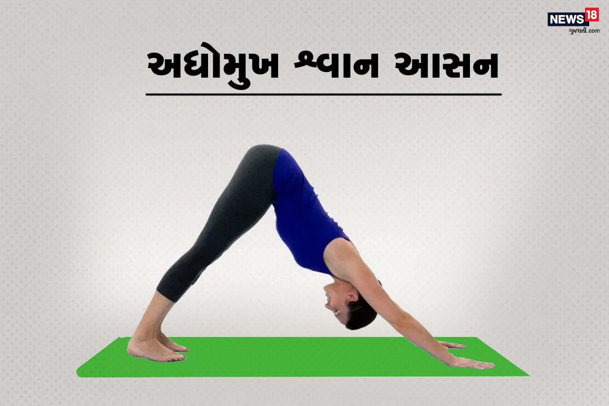 અધોમુખ શ્વાન આસન- ફોટોમાં બતાવ્યું છે તે મુજબ બે હાથ અને પગને જમીન પર આ રીતે મૂકો. અને શરીરને કમરના ભાગથી ઊંચું કરો. જેમ કરવાથી પગ, હાથમાં ખેંચાણ અનુભાવશે. માથું નીચે રાખો. હિપ્સથી પગ એક સીધી રેખઆમાં હોવા જોઇએ. થોડો સમય આ સ્થિતિમાં રહો. અધોમુખ શ્વાન આસન- ફોટોમાં બતાવ્યું છે તે મુજબ બે હાથ અને પગને જમીન પર આ રીતે મૂકો. અને શરીરને કમરના ભાગથી ઊંચું કરો. જેમ કરવાથી પગ, હાથમાં ખેંચાણ અનુભાવશે. માથું નીચે રાખો. હિપ્સથી પગ એક સીધી રેખઆમાં હોવા જોઇએ. થોડો સમય આ સ્થિતિમાં રહો.