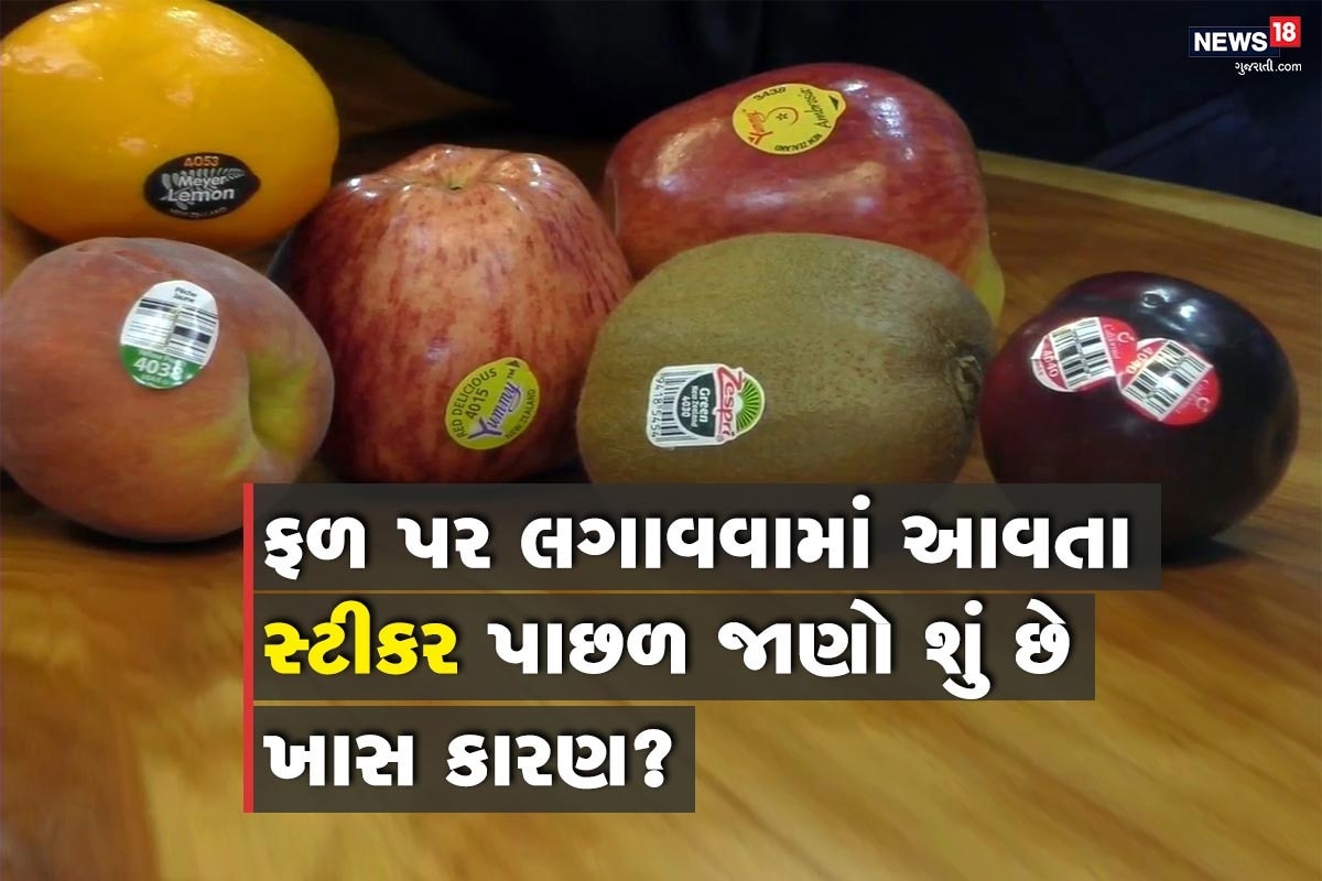 લાઇફ સ્ટાઇલ ડેસ્ક: ઘણી વખત તમે બજારમાં ફ્રૂટ્સ લેવા ગયા છો અને તમે ફ્રૂટ્સ પર સ્ટીકર લાગેલા જોયા હશે. પણ તમે જાણો છો આ સ્ટીકર અંગે જાણો છો. ફ્રૂટ્સનું સેવન સ્વાસ્થ્ય માટે ઉત્તમ છે. પણ તેનાં પર લગાવવામાં આવતાં આ સ્ટીકર પાછળ શું કારણ છે. તે કેમ લગાવવામાં આવે છે એ વિશે મોટાભાગનાં લોકોને ખ્યાલ નહીં હોય. તો ચાલો તે અંગે જાણીયે. લાઇફ સ્ટાઇલ ડેસ્ક: ઘણી વખત તમે બજારમાં ફ્રૂટ્સ લેવા ગયા છો અને તમે ફ્રૂટ્સ પર સ્ટીકર લાગેલા જોયા હશે. પણ તમે જાણો છો આ સ્ટીકર અંગે જાણો છો. ફ્રૂટ્સનું સેવન સ્વાસ્થ્ય માટે ઉત્તમ છે. પણ તેનાં પર લગાવવામાં આવતાં આ સ્ટીકર પાછળ શું કારણ છે. તે કેમ લગાવવામાં આવે છે એ વિશે મોટાભાગનાં લોકોને ખ્યાલ નહીં હોય. તો ચાલો તે અંગે જાણીયે.