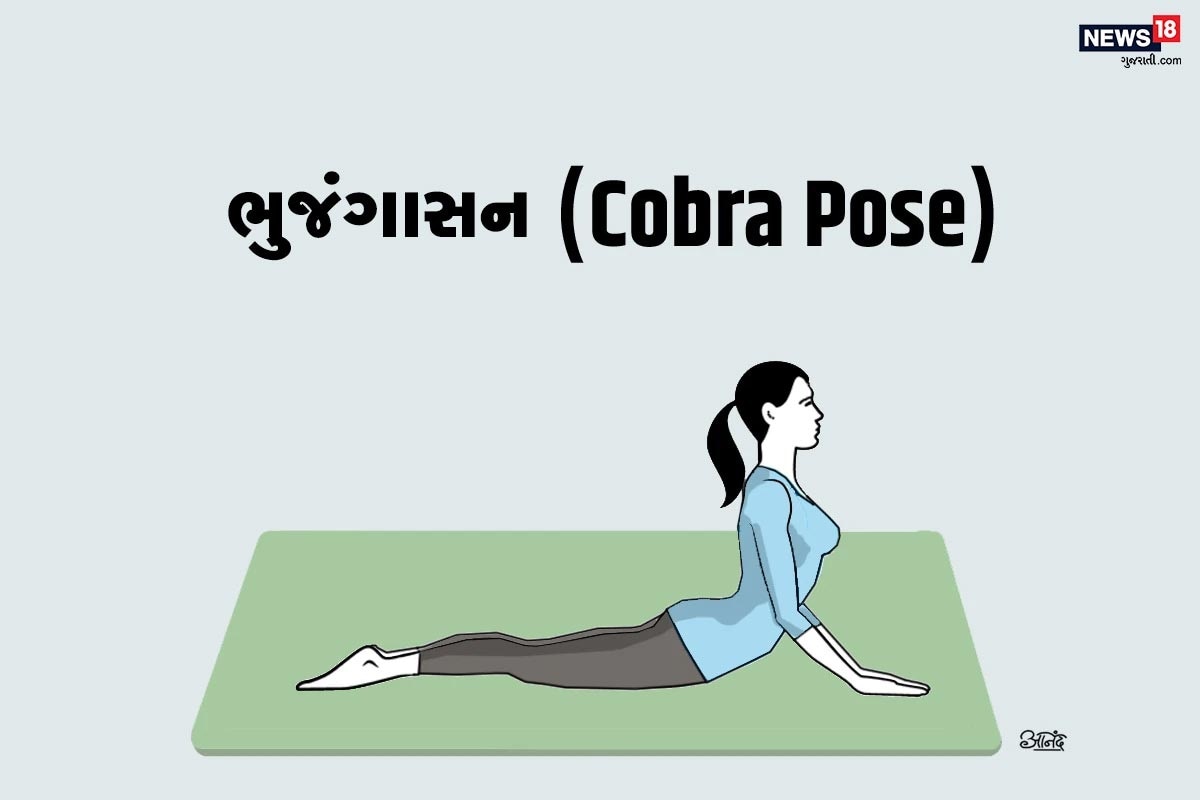 ભુજંગાસન (Cobra Pose) ભુજંગાસનમાં યોગ કરનારને છાતીનો ભાગ ફોટોમાં બતાવ્યો તે રીતે ઊંચો કરવાનો છે. આ આકૃતિમાં કરોડ રજ્જુ પર દબાવ પડે છે. અને તેને જૂની સ્થિતિમાં જવામાં મદદ મળે છે. આ યોગાસન સૂર્ય નમસ્કારનો એક ભાગ પણ છે. જે તમારા શરીરને લચીલું રાખે છે. શરૂઆતમાં યોગમાં થાય એટલી જ કસરત કરવાની અને ધીરે ધીરે આ તમામ કસરતો વ્યવસ્થિત થાય તેવો પ્રયાસ કરવાનો. જો કે દુખાવો વધે તો આ કસરત રહેવા દેવી અને કરતા પહેલા વિશેષજ્ઞની સલાહ લેવી. ભુજંગાસન (Cobra Pose) ભુજંગાસનમાં યોગ કરનારને છાતીનો ભાગ ફોટોમાં બતાવ્યો તે રીતે ઊંચો કરવાનો છે. આ આકૃતિમાં કરોડ રજ્જુ પર દબાવ પડે છે. અને તેને જૂની સ્થિતિમાં જવામાં મદદ મળે છે. આ યોગાસન સૂર્ય નમસ્કારનો એક ભાગ પણ છે. જે તમારા શરીરને લચીલું રાખે છે. શરૂઆતમાં યોગમાં થાય એટલી જ કસરત કરવાની અને ધીરે ધીરે આ તમામ કસરતો વ્યવસ્થિત થાય તેવો પ્રયાસ કરવાનો. જો કે દુખાવો વધે તો આ કસરત રહેવા દેવી અને કરતા પહેલા વિશેષજ્ઞની સલાહ લેવી.