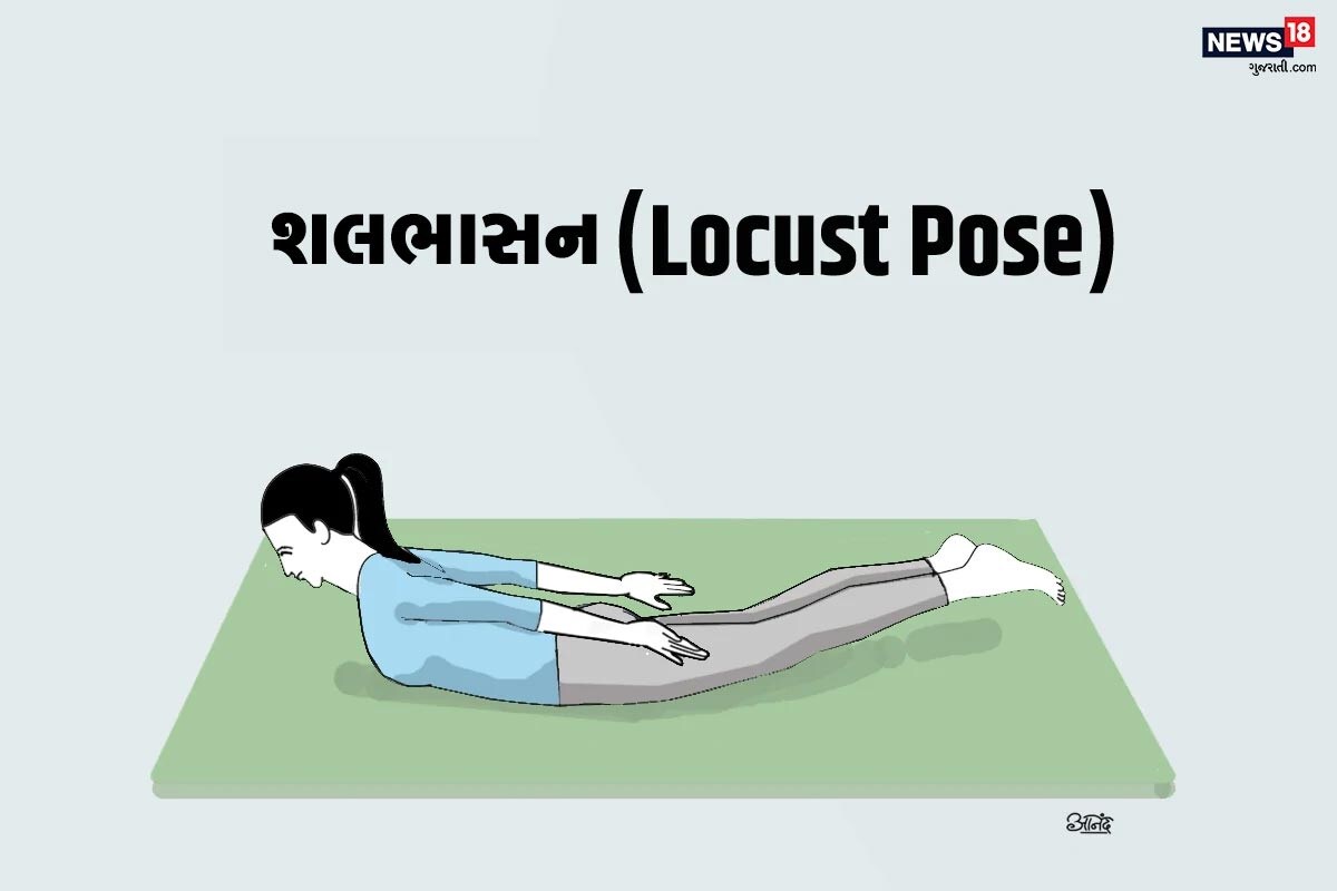 શલભાસન (Locust Pose) આ આસનથી પેટના બળે જમીર પર સઇ જઇને કમરના ભાગને નીચે રાખી હાથ અને પગથી ઊંચા થવાનો પ્રયાસ કરવામાં આવે છે. આ સ્થિતમાં રોજ યોગભ્યાસ કરવાથી તમને કમરના દુખાવામાં રાહત મળશે. અને વળી સ્લિપ ડિસ્ક સિવાય પણ તમને કોઇ પ્રકારનો કમરનો દુખાવો રહેતો હોય તો આ આસન તમને રાહત આપશે. શલભાસન (Locust Pose) આ આસનથી પેટના બળે જમીર પર સઇ જઇને કમરના ભાગને નીચે રાખી હાથ અને પગથી ઊંચા થવાનો પ્રયાસ કરવામાં આવે છે. આ સ્થિતમાં રોજ યોગભ્યાસ કરવાથી તમને કમરના દુખાવામાં રાહત મળશે. અને વળી સ્લિપ ડિસ્ક સિવાય પણ તમને કોઇ પ્રકારનો કમરનો દુખાવો રહેતો હોય તો આ આસન તમને રાહત આપશે.