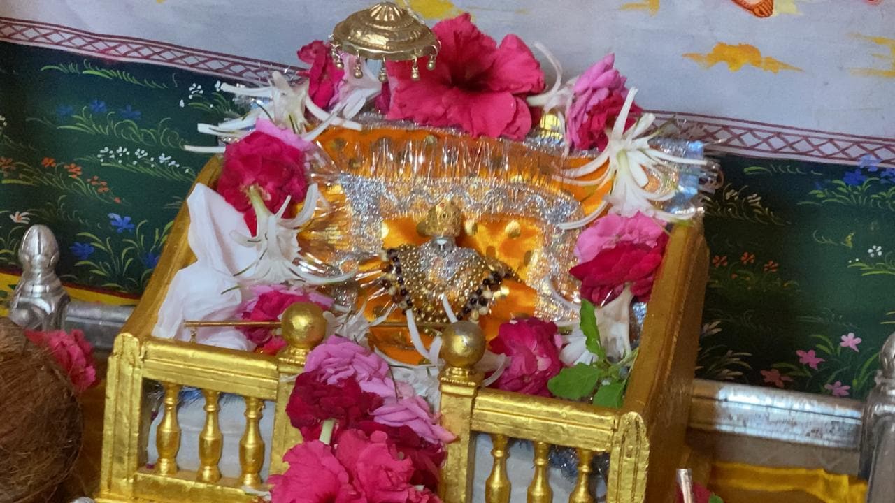 મહતત્વનું છે કે. શામળાજી મંદિરમાં ભગવાન કૃષ્ણનો જન્મોત્સવ 12ના ટકોરે કરવામાં આવ્યો હતો. ભગવાનને રંગબેરંગી વાઘા પહેરાવવામાં આવ્યાં છે. ભગવાનના આ અલૌકિક રૂપના ઓનલાઇન દર્શન કરીને ભાવિકભક્તોએ ધન્યતા અનુભવી છે. ભગવાનના જન્મબાદ વિવિધ વિધિ કરવામાં આવી હતી. જેમાં ભગવાનને મુખ દર્શન કરાવવામાં આવ્યું હતું. ત્યારબાદ તેમની નજર ઉતારવામાં આવી હતી. અને તેબાદ આરતી કરવામાં આવી હતી. મહતત્વનું છે કે. શામળાજી મંદિરમાં ભગવાન કૃષ્ણનો જન્મોત્સવ 12ના ટકોરે કરવામાં આવ્યો હતો. ભગવાનને રંગબેરંગી વાઘા પહેરાવવામાં આવ્યાં છે. ભગવાનના આ અલૌકિક રૂપના ઓનલાઇન દર્શન કરીને ભાવિકભક્તોએ ધન્યતા અનુભવી છે. ભગવાનના જન્મબાદ વિવિધ વિધિ કરવામાં આવી હતી. જેમાં ભગવાનને મુખ દર્શન કરાવવામાં આવ્યું હતું. ત્યારબાદ તેમની નજર ઉતારવામાં આવી હતી. અને તેબાદ આરતી કરવામાં આવી હતી.
