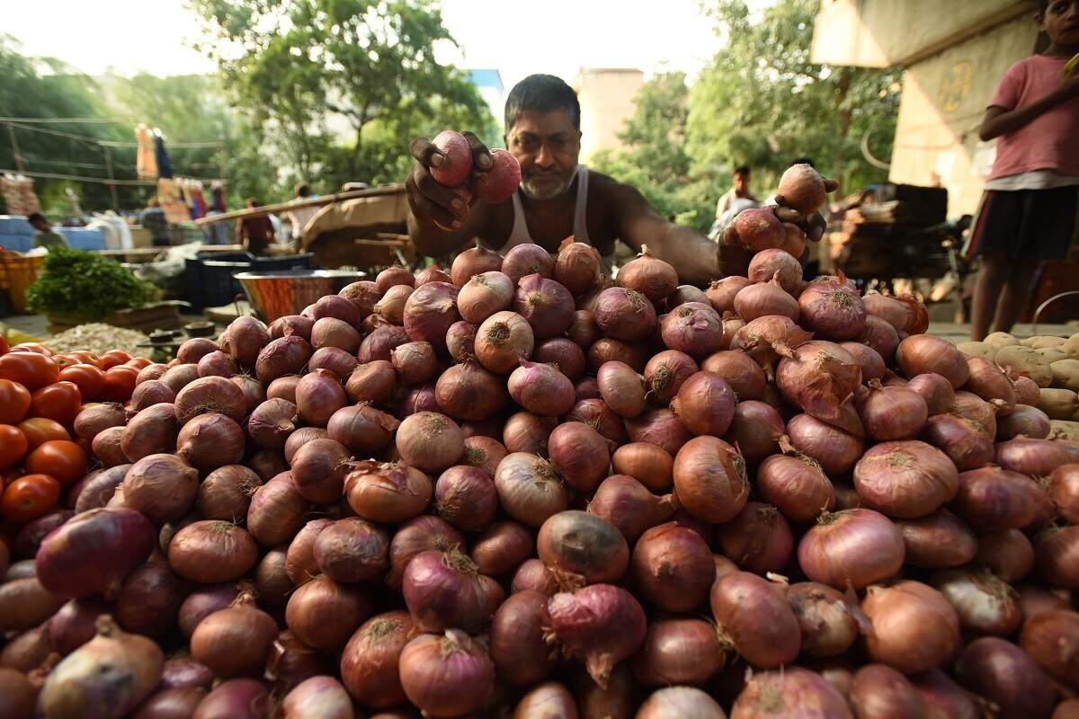 ખાલી ટામેટા જ નહીં પણ બટાકા અને ડુંગળીના ભાવો પર સતત વધી રહ્યા છે. બટેકાની જ વાત કરીએ તો મોટાભાગની જગ્યાએ ભાવ 35-40 રૂપિયા ભાવ છે. અને કેટલીક જગ્યાએ તો ભાવ 45 પ્રતિ કિલો થઇ ગયો છે. ઉપભોક્તા મંત્રાલયે મુજબ સોમવારે દિલ્હીમાં બટાકાના ભાવ 37 ટકા પ્રતિ કિલો, ગુરુગ્રામમાં 35 રૂપિયા અને શિમલામાં 45 રૂપિયા નોંધવામાં આવ્યો છે. ખાલી ટામેટા જ નહીં પણ બટાકા અને ડુંગળીના ભાવો પર સતત વધી રહ્યા છે. બટેકાની જ વાત કરીએ તો મોટાભાગની જગ્યાએ ભાવ 35-40 રૂપિયા ભાવ છે. અને કેટલીક જગ્યાએ તો ભાવ 45 પ્રતિ કિલો થઇ ગયો છે. ઉપભોક્તા મંત્રાલયે મુજબ સોમવારે દિલ્હીમાં બટાકાના ભાવ 37 ટકા પ્રતિ કિલો, ગુરુગ્રામમાં 35 રૂપિયા અને શિમલામાં 45 રૂપિયા નોંધવામાં આવ્યો છે.