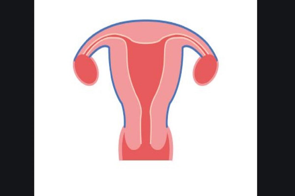 ઇલાજ કેવી રીતે કરવો? એક વખત PCOS પકડાઇ જાય તે બાદ તેને રોકવાનાં ઘણાં ઉપચાર છે. ડોક્ટર્સ સામાન્ય રીતે ગર્ભ નિરોધક, મેટફોર્મિન, અને અત્યાધિક કિસ્સામાં સર્જરી સહિત ઘણી દવાઓ લેવાની સલાહ આપે છે. ઇલાજ કેવી રીતે કરવો? એક વખત PCOS પકડાઇ જાય તે બાદ તેને રોકવાનાં ઘણાં ઉપચાર છે. ડોક્ટર્સ સામાન્ય રીતે ગર્ભ નિરોધક, મેટફોર્મિન, અને અત્યાધિક કિસ્સામાં સર્જરી સહિત ઘણી દવાઓ લેવાની સલાહ આપે છે.