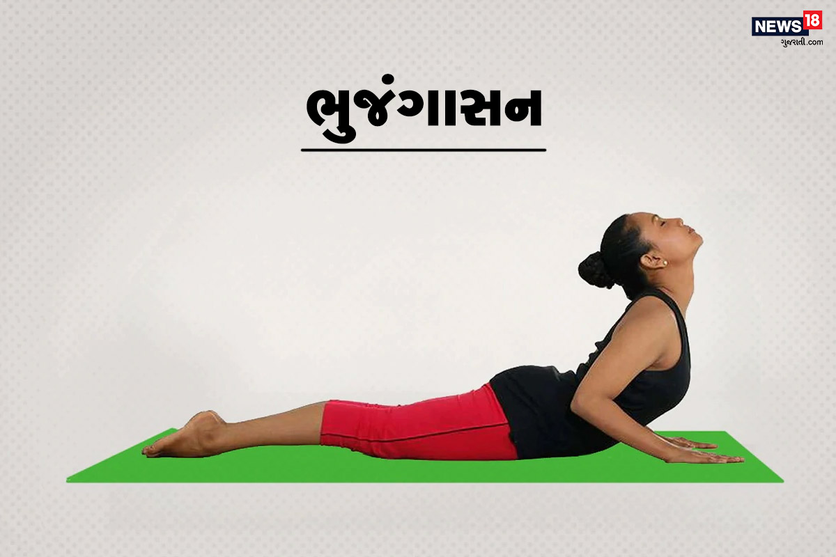 ભુજંગાસન (Cobra Pose) ભુજંગાસનમાં યોગ કરનારને છાતીનો ભાગ ફોટોમાં બતાવ્યો તે રીતે ઊંચો કરવાનો છે. આ આકૃતિમાં કરોડ રજ્જુ પર દબાવ પડે છે. અને તેને જૂની સ્થિતિમાં જવામાં મદદ મળે છે. આ યોગાસન સૂર્ય નમસ્કારનો એક ભાગ પણ છે. જે તમારા શરીરને લચીલું રાખે છે. શરૂઆતમાં યોગમાં થાય એટલી જ કસરત કરવાની અને ધીરે ધીરે આ તમામ કસરતો વ્યવસ્થિત થાય તેવો પ્રયાસ કરવાનો. જો કે દુખાવો વધે તો આ કસરત રહેવા દેવી અને કરતા પહેલા વિશેષજ્ઞની સલાહ લેવી. ભુજંગાસન (Cobra Pose) ભુજંગાસનમાં યોગ કરનારને છાતીનો ભાગ ફોટોમાં બતાવ્યો તે રીતે ઊંચો કરવાનો છે. આ આકૃતિમાં કરોડ રજ્જુ પર દબાવ પડે છે. અને તેને જૂની સ્થિતિમાં જવામાં મદદ મળે છે. આ યોગાસન સૂર્ય નમસ્કારનો એક ભાગ પણ છે. જે તમારા શરીરને લચીલું રાખે છે. શરૂઆતમાં યોગમાં થાય એટલી જ કસરત કરવાની અને ધીરે ધીરે આ તમામ કસરતો વ્યવસ્થિત થાય તેવો પ્રયાસ કરવાનો. જો કે દુખાવો વધે તો આ કસરત રહેવા દેવી અને કરતા પહેલા વિશેષજ્ઞની સલાહ લેવી.