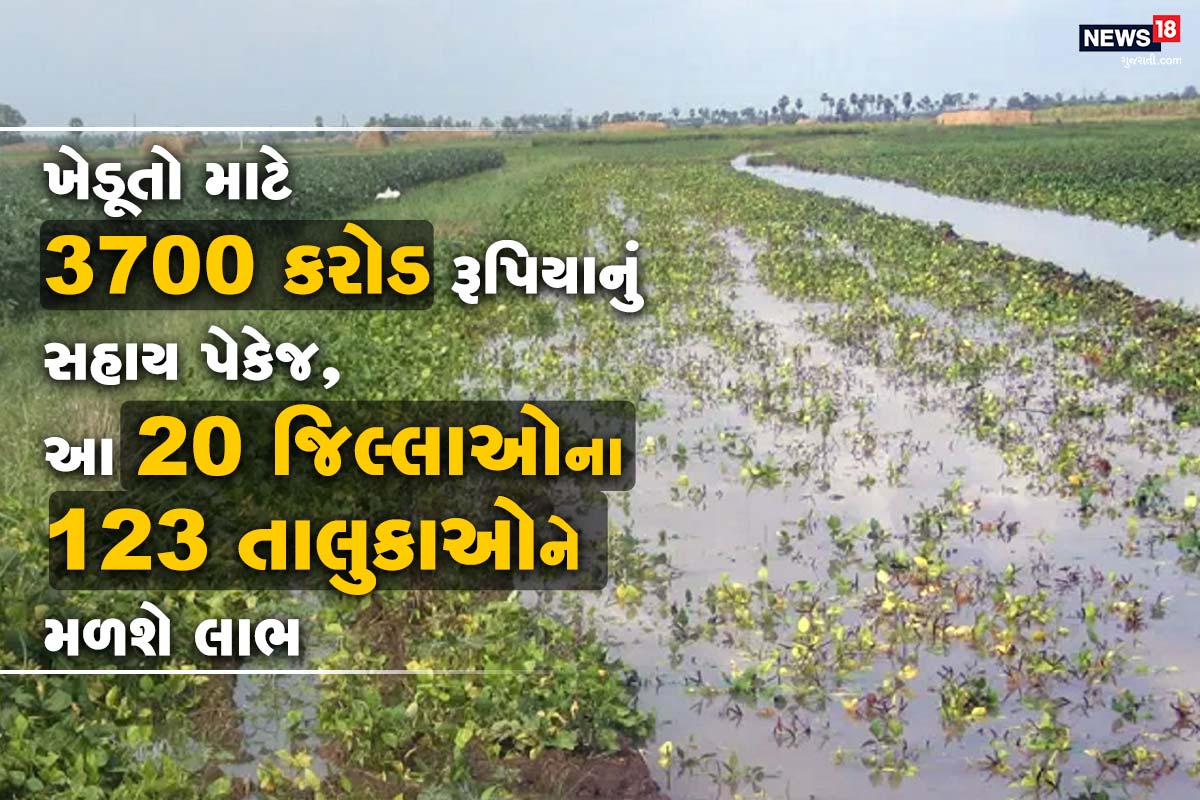  ગાંધીનગર : મુખ્યમંત્રી વિજય રૂપાણીએ (Vijay rupani) વિધાનસભા ગૃહના (Leader of Assembly) નેતા તરીકે ચૌદમી વિધાનસભાના સાતમા સત્રના પ્રથમ દિવસે નિયમ-44 અન્વયે નિવેદનમાં રાજ્યના ધરતીપુત્રોને આ વર્ષે ખરીફ ઋતુમાં ભારે વરસાદથી થયેલ પાક નુકશાન (Crop Failure) સામે ઉદાર પેકેજની (Gujarat faremrs relief package) જાહેરાત કરી હતી. ચાલુ વર્ષે પણ ખરીફ ઋતુમાં કેટલાક તાલુકાઓમાં 19 સપ્ટેમ્બરની સ્થિતિએ થયેલ નુકશાન અંગે કૃષિ વિભાગ દ્વારા થયેલ સર્વેના આકલન સંદર્ભે રાજ્ય સરકાર દ્વારા વિચારણાને અંતે રાજ્યના 20 જિલ્લાઓના 123 તાલુકાના અંદાજીત 51 લાખ હેક્ટરથી વધુ વાવેતર વિસ્તાર પૈકી સહાયના ધોરણો મુજબ અંદાજીત 37 લાખ હેક્ટર વિસ્તાર સહાયને પાત્ર થશે. આ માટે 3700 કરોડ રૂપિયાનુ સહાય પેકેજ રાજ્યના ખેડુતોને નુકસાનીમાં મદદરૂપ થવા જાહેર કર્યુ છે. જેમાં 33% અને તેથી વધુ પાક નુકશાનીના કિસ્સામાં વધુમાં વધુ 2 હેક્ટર માટે રૂ. 10,000 પ્રતિ હેક્ટર સહાય ચુકવવામાં આવશે. વધુમાં ખેડુત ખાતેદાર ગમે તેટલી ઓછી જમીન ધરાવતા હોય તો પણ તેઓને ઓછામાં ઓછા રૂ. 5000 ચુકવવાનો નિર્ણય રાજ્ય સરકારે કર્યો છે. આ સહાય પેકેજથી રાજ્યના અંદાજીત 27 લાખ જેટલા ખેડુત ખાતેદારોને ખાતા દીઠ સહાયનો લાભ મળશે.