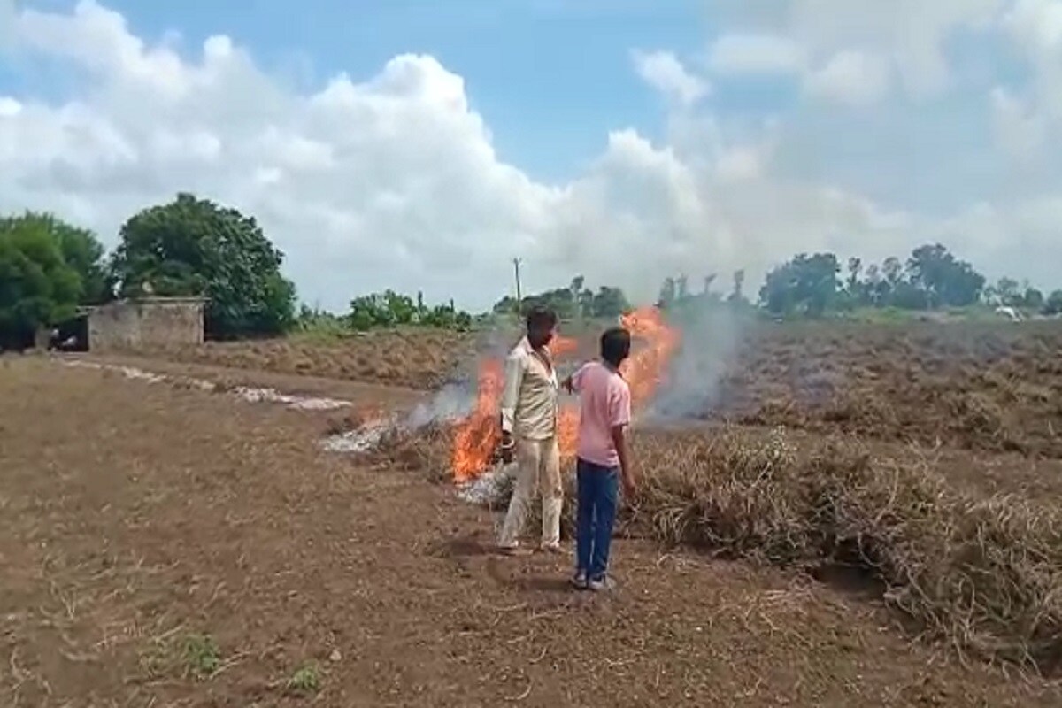 અતુલ વ્યાસ, જૂનાગઢ : જૂનાગઢ જીલ્લાના માળીયાહાટીના પાણી ધરા ગામના ખેડૂત ગિરીરાજસિંહ લખમણભાઈ સિસોદીયાએ પોતાના ખેતરમાં 30 વીઘા જમીનમા વાવેલ મગફળીનો પાક ફેઈલ જતા સળગાવી દીધો હતો. ચાલુ વર્ષે અનરાધાર વરસાદને લઈને ખેડુતોના પાક નિષ્ફળ ગયા છે. અતુલ વ્યાસ, જૂનાગઢ : જૂનાગઢ જીલ્લાના માળીયાહાટીના પાણી ધરા ગામના ખેડૂત ગિરીરાજસિંહ લખમણભાઈ સિસોદીયાએ પોતાના ખેતરમાં 30 વીઘા જમીનમા વાવેલ મગફળીનો પાક ફેઈલ જતા સળગાવી દીધો હતો. ચાલુ વર્ષે અનરાધાર વરસાદને લઈને ખેડુતોના પાક નિષ્ફળ ગયા છે.