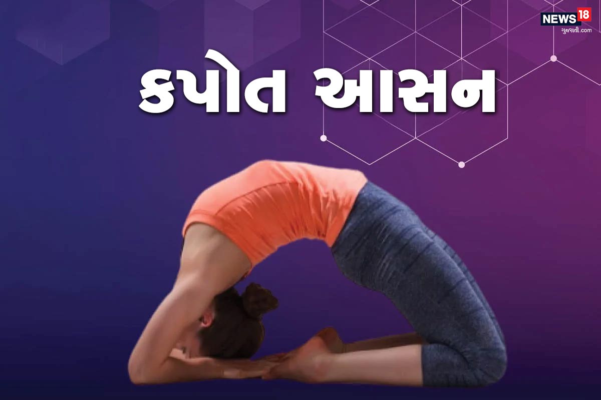કપોત આસન- જો તમે આ આસન કરી શકો તો જ કરજો. મોટી ઉંમરના લોકો માટે આ મુશ્કેલ બની શકે છે. પગને ફોટોમાં બતાવ્યા તે મુજબ મૂકીને કમર પાછા જાવ અને હાથને આ પોઝિશનમાં ખેંચવાનો પ્રયાસ કરો. અને આ સ્થિતિમાં બન્યા રહો. પછી આરામ કરો. કપોત આસન- જો તમે આ આસન કરી શકો તો જ કરજો. મોટી ઉંમરના લોકો માટે આ મુશ્કેલ બની શકે છે. પગને ફોટોમાં બતાવ્યા તે મુજબ મૂકીને કમર પાછા જાવ અને હાથને આ પોઝિશનમાં ખેંચવાનો પ્રયાસ કરો. અને આ સ્થિતિમાં બન્યા રહો. પછી આરામ કરો.