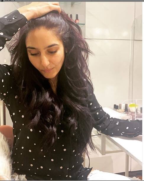  દ્વિવેદનો જન્મ બેંગલુરુમાં થયો હતો જ્યારે તેમનાં પરિવારનો તાલ્લુક હરિયાણાનાં રેવાડીથી છે. તે વર્ષ 2009માં 'વીરા મદાકરી' ફિલ્મથી સેન્ડલવૂડમાં આવી હતી. જ્યારે તેની કેમ્પે ગોડા, રાગિની IPS, બંગારી અને શિવા જેવી કન્નડ ફિલ્મોથી ઓળખ મળી હતી.