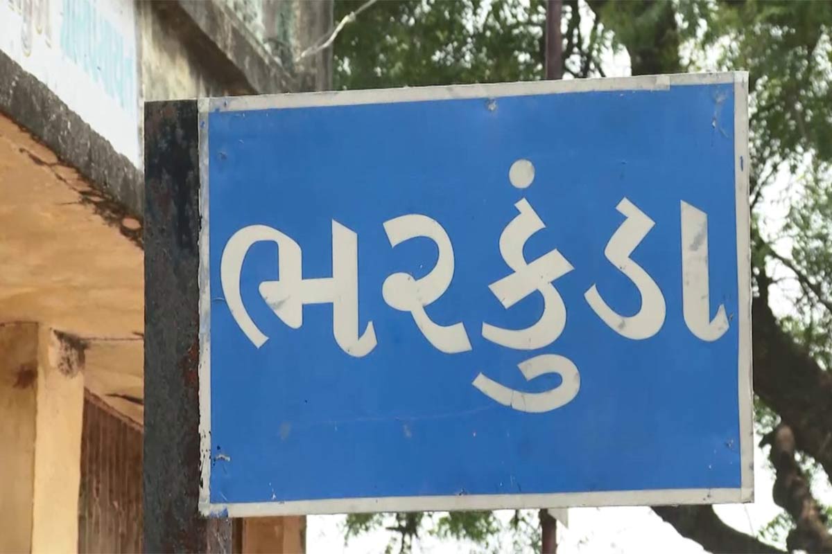 ખેડૂતના જણાવ્યા પ્રમાણે નીલગિરીના એક છોડની અંદાજે 1,200 રૂપિયા જેટલી કિંમત મળે છે. એટલે કે ચાર વર્ષ પછી પણ જો આટલી જ કિંમત મળતી હશે તો તેમને 700 નીલગિરીના છોડ બદલ આશરે 8,40,000 રૂપિયા જેટલી અંદાજિત આવક મળશે. ખેડૂતના જણાવ્યા પ્રમાણે નીલગિરીના એક છોડની અંદાજે 1,200 રૂપિયા જેટલી કિંમત મળે છે. એટલે કે ચાર વર્ષ પછી પણ જો આટલી જ કિંમત મળતી હશે તો તેમને 700 નીલગિરીના છોડ બદલ આશરે 8,40,000 રૂપિયા જેટલી અંદાજિત આવક મળશે.