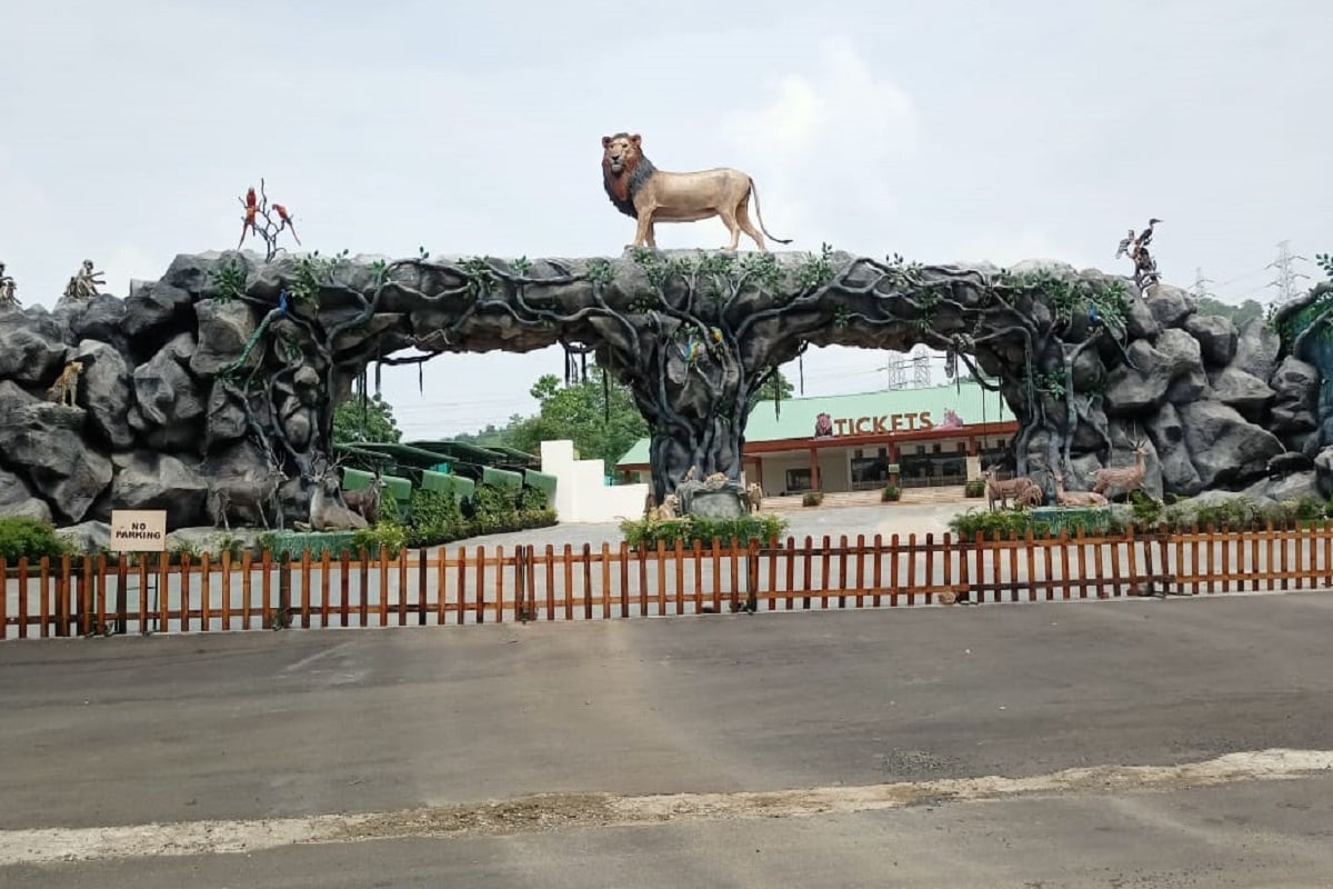 દિપક પટેલ, નર્મદા : દુનિયાની સૌથી ઊંચી પ્રતિમાં સ્ટેચ્યુ ઓફ યુનિટી (Statue of unity) નજીક પ્રવાસી માટે જંગલ સફારી પાર્ક (Jungle safari park) બનાવવામાં આવ્યું છે. જે 18 ફેબ્રુઆરી 2020ના રોજ પ્રવાસીઓ માટે ખુલ્લું મુકવામાં આવ્યું હતું. કોરોના કાળમાં છ મહીનાથી બંધ કરવામાં આવ્યું હતું પરંતુ હવે કોરોના નીતિ નિયમો સાથે એક ઓક્ટોબર, 2020થી પુનઃ શરૂ કરવામાં આવશે. 375 એકરમાં ફેલાયેલ જંગલ સફારી પાર્કમાં 62 જાતનાં કુલ 1000 પ્રાણી પક્ષીઓનો સમાવેશ થયો છે. દિપક પટેલ, નર્મદા : દુનિયાની સૌથી ઊંચી પ્રતિમાં સ્ટેચ્યુ ઓફ યુનિટી (Statue of unity) નજીક પ્રવાસી માટે જંગલ સફારી પાર્ક (Jungle safari park) બનાવવામાં આવ્યું છે. જે 18 ફેબ્રુઆરી 2020ના રોજ પ્રવાસીઓ માટે ખુલ્લું મુકવામાં આવ્યું હતું. કોરોના કાળમાં છ મહીનાથી બંધ કરવામાં આવ્યું હતું પરંતુ હવે કોરોના નીતિ નિયમો સાથે એક ઓક્ટોબર, 2020થી પુનઃ શરૂ કરવામાં આવશે. 375 એકરમાં ફેલાયેલ જંગલ સફારી પાર્કમાં 62 જાતનાં કુલ 1000 પ્રાણી પક્ષીઓનો સમાવેશ થયો છે.