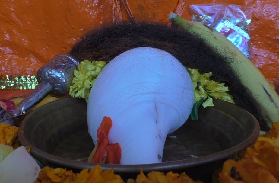 નવરાત્રીમાં તથા દર 10 દિવસે માતાના શંખનું પાણી લોકોને પ્રસાદી તરીકે અપાય છે જેનાથી સોજો અને સફેદ ડાઘ જેવા રોગોથી રાહત મળે તેવી લોકોની માન્યતા છે. નવરાત્રીમાં તથા દર 10 દિવસે માતાના શંખનું પાણી લોકોને પ્રસાદી તરીકે અપાય છે જેનાથી સોજો અને સફેદ ડાઘ જેવા રોગોથી રાહત મળે તેવી લોકોની માન્યતા છે.