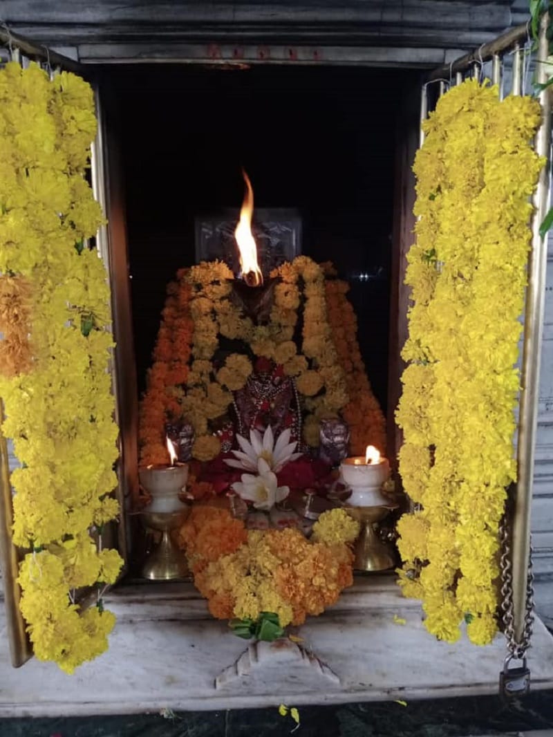 પાવાગઢ મંદિરની તળેટી અને માંચી એમ બે સ્થળે LED સ્ક્રીન ગોઠવવામાં આવ્યા છે. જે LED સ્ક્રીન થકી ભક્તો માતાજીના દર્શનનો લહાવો લઇ શકે. નવરાત્રીના પહેલાં નોરતે પાવાગઢ ખાતે ભક્તોની પાંખી હાજરી જોવા મળી છે. ખાનગી વાહનો પર પ્રતિબંધ હોઇ માચી સુધી પહોંચવા એસટી વિભાગ દ્વારા 20 બસો મુકવામાં આવી છે. બસ સેવા વહેલી સવારે ચાર વાગે શરૂ કરી દેવાઈ હતી. બપોર સુધી 233 ટ્રીપ દ્વારા નવ હજાર ઉપરાંત યાત્રાળુઓએ સેવાનો લાભ લીધો હતો.<br />(પાવાગઢ મંદિર) પાવાગઢ મંદિરની તળેટી અને માંચી એમ બે સ્થળે LED સ્ક્રીન ગોઠવવામાં આવ્યા છે. જે LED સ્ક્રીન થકી ભક્તો માતાજીના દર્શનનો લહાવો લઇ શકે. નવરાત્રીના પહેલાં નોરતે પાવાગઢ ખાતે ભક્તોની પાંખી હાજરી જોવા મળી છે. ખાનગી વાહનો પર પ્રતિબંધ હોઇ માચી સુધી પહોંચવા એસટી વિભાગ દ્વારા 20 બસો મુકવામાં આવી છે. બસ સેવા વહેલી સવારે ચાર વાગે શરૂ કરી દેવાઈ હતી. બપોર સુધી 233 ટ્રીપ દ્વારા નવ હજાર ઉપરાંત યાત્રાળુઓએ સેવાનો લાભ લીધો હતો.<br />(પાવાગઢ મંદિર)