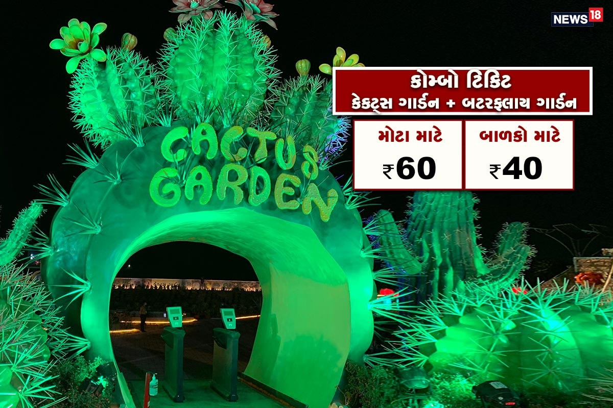કેકટ્સ ગાર્ડન: સરદાર સરોવર ડેમ નજીક નર્મદા નદીના ડાબા કાંઠે રપ એકરમાં પથરાયેલ ગાર્ડન છે. જેમાં 450 પ્રકારની કેક્ટી અને સેક્યુલન્ટસ પ્રજાતિ છે અને વિશ્વના જુદા જુદા 17 દેશોના કુલ 6 લાખ જેટલાં કેકટ્સના છોડવાઓ આવેલા છે. કેકટ્સ ગાર્ડનમાં 838 ચો.મી.નો અધ્વિતીય અષ્ટકોણીય ડોમ આવેલો છે. જેમાં પ્રવાસીઓને જુદી જુદી પ્રજાતિના કેકટ્સ અંગે જાણકારી મળે છે. કેકટ્સ ગાર્ડનમાં કેકટ્સમાંથી બનતી દવાઓ અને હર્બલ પ્રોડક્ટની ખાસ દુકાન છે અને પ્રવાસીઓ તેમાંથી કેકટ્સના છોડવાઓ તથા દવાઓ ખરીદી શકે છે. કેકટ્સ ગાર્ડન: સરદાર સરોવર ડેમ નજીક નર્મદા નદીના ડાબા કાંઠે રપ એકરમાં પથરાયેલ ગાર્ડન છે. જેમાં 450 પ્રકારની કેક્ટી અને સેક્યુલન્ટસ પ્રજાતિ છે અને વિશ્વના જુદા જુદા 17 દેશોના કુલ 6 લાખ જેટલાં કેકટ્સના છોડવાઓ આવેલા છે. કેકટ્સ ગાર્ડનમાં 838 ચો.મી.નો અધ્વિતીય અષ્ટકોણીય ડોમ આવેલો છે. જેમાં પ્રવાસીઓને જુદી જુદી પ્રજાતિના કેકટ્સ અંગે જાણકારી મળે છે. કેકટ્સ ગાર્ડનમાં કેકટ્સમાંથી બનતી દવાઓ અને હર્બલ પ્રોડક્ટની ખાસ દુકાન છે અને પ્રવાસીઓ તેમાંથી કેકટ્સના છોડવાઓ તથા દવાઓ ખરીદી શકે છે.