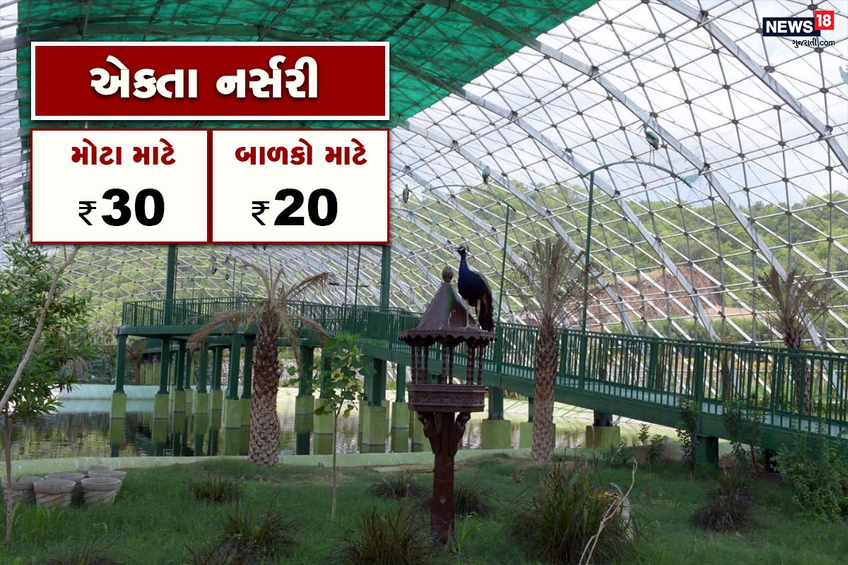 એક્તા નર્સરી: જુદા જુદા રોપાઓના પ્રદર્શન-વેચાણ થકી એકતાના વિચારના થીમ ઉપર 10 એકરમાં પથરાયેલ આ એકતા નર્સરી પ્રવાસીઓને અધ્વિતીય અનુભવ કરાવે છે. ઉચ્ચ કક્ષાની ટેકનોલોજીથી સજ્જ આ નર્સરીની 10 લાખ રોપાઓ પ્રતિ વર્ષ ઉછેરવાની ક્ષમતા છે. એકતા નર્સરી ‘‘એકતા હેન્ડીકાફ્રટ’’ પ્રવાસીઓનું આકર્ષણ સ્થળ છે જેમાં બામ્બુ કાફ્રટ્સ, સોપારીના પાંદડાઓમાંથી બનતી વસ્તુઓ અને ઓર્ગેનિક પોટ્સનું પ્રદર્શન-વેચાણ છે. આ જગ્યાએ પ્રવાસીઓ વસ્તુઓ જાતે બનાવવાનો અનુભવ અને આનંદ મેળવે છે. એક્તા નર્સરી: જુદા જુદા રોપાઓના પ્રદર્શન-વેચાણ થકી એકતાના વિચારના થીમ ઉપર 10 એકરમાં પથરાયેલ આ એકતા નર્સરી પ્રવાસીઓને અધ્વિતીય અનુભવ કરાવે છે. ઉચ્ચ કક્ષાની ટેકનોલોજીથી સજ્જ આ નર્સરીની 10 લાખ રોપાઓ પ્રતિ વર્ષ ઉછેરવાની ક્ષમતા છે. એકતા નર્સરી ‘‘એકતા હેન્ડીકાફ્રટ’’ પ્રવાસીઓનું આકર્ષણ સ્થળ છે જેમાં બામ્બુ કાફ્રટ્સ, સોપારીના પાંદડાઓમાંથી બનતી વસ્તુઓ અને ઓર્ગેનિક પોટ્સનું પ્રદર્શન-વેચાણ છે. આ જગ્યાએ પ્રવાસીઓ વસ્તુઓ જાતે બનાવવાનો અનુભવ અને આનંદ મેળવે છે.