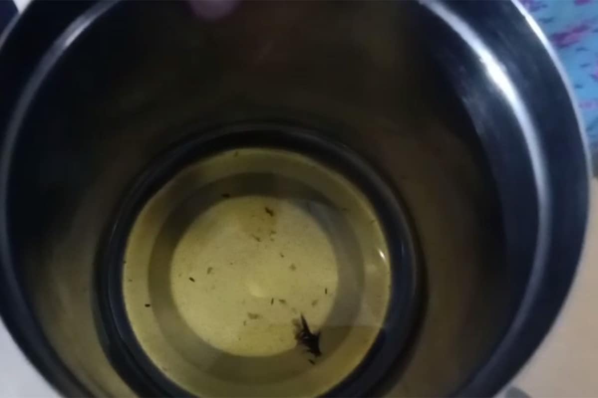 જૂનાગઢ: જિલ્લાના કેશોદના કપાસિયાના તેલ (Edible Oil)ના ડબ્બામાંથી મરેલો ઉંદર (Dead Mouse) નીકળતા ખળભળાટ મચી ગયો છે. કેશોદના એક પરિવારે આવો દાવો કર્યો છે. ડબ્બામાંથી મરેલો ઉંદર નીકળ્યા બાદ પરિવાર સ્વાસ્થ્ય (Health)ને લઈને ખૂબ જ ચિંતત છે. કારણ કે આ પરિવાર છેલ્લા 12 દિવસથી આ તેલ આરોગતો હતો. પરિવારના સભ્યોને તેલમાં ઉંદર હોવાની જાણ થયા બાદ તમામ ખૂબ ચિંતામાં આવી ગયા છે. જૂનાગઢ: જિલ્લાના કેશોદના કપાસિયાના તેલ (Edible Oil)ના ડબ્બામાંથી મરેલો ઉંદર (Dead Mouse) નીકળતા ખળભળાટ મચી ગયો છે. કેશોદના એક પરિવારે આવો દાવો કર્યો છે. ડબ્બામાંથી મરેલો ઉંદર નીકળ્યા બાદ પરિવાર સ્વાસ્થ્ય (Health)ને લઈને ખૂબ જ ચિંતત છે. કારણ કે આ પરિવાર છેલ્લા 12 દિવસથી આ તેલ આરોગતો હતો. પરિવારના સભ્યોને તેલમાં ઉંદર હોવાની જાણ થયા બાદ તમામ ખૂબ ચિંતામાં આવી ગયા છે.