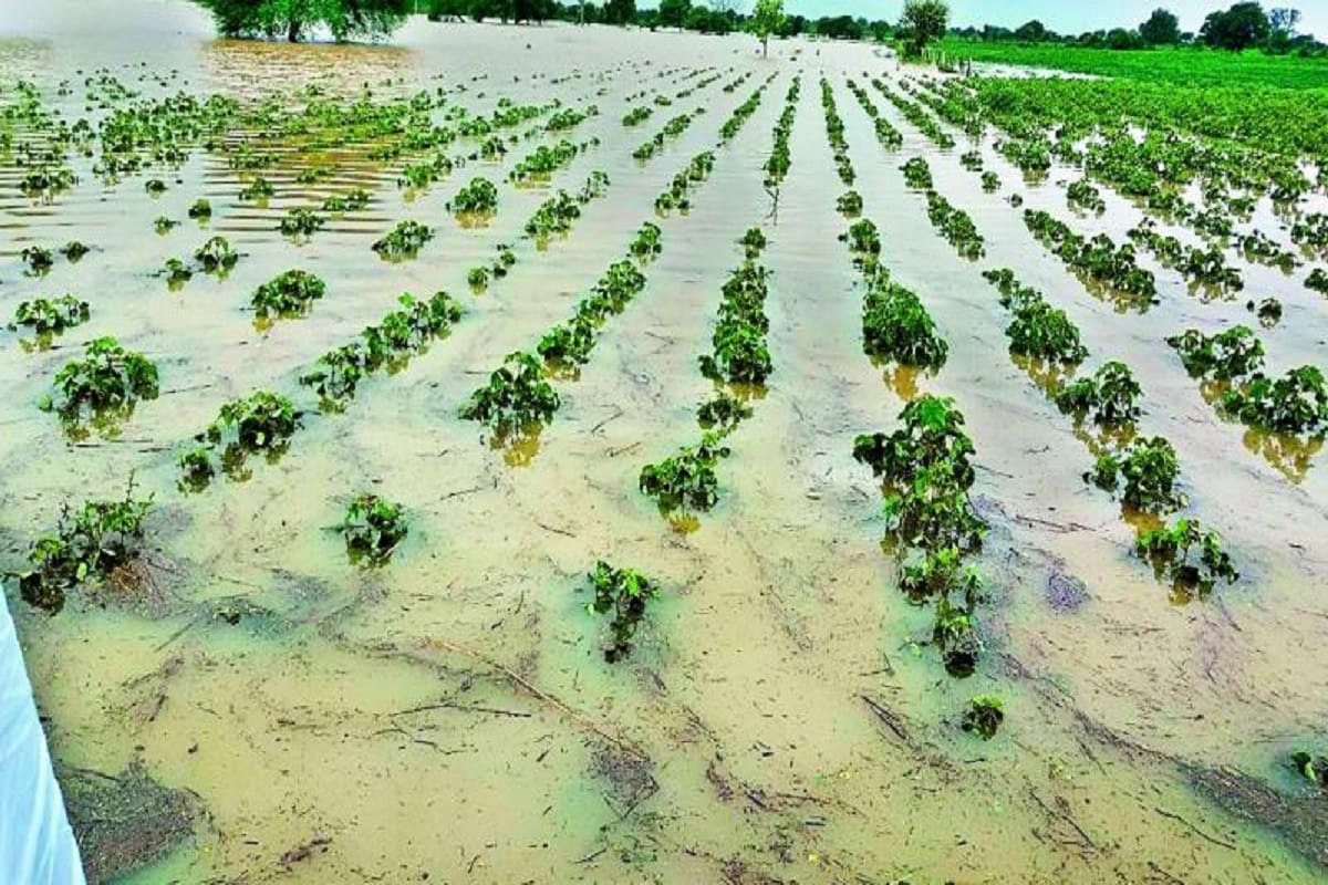 દક્ષિણ ગુજરાત અને સૌરાષ્ટ્રના અનેક જિલ્લાઓમાં સતત ત્રીજા દિવસે વરસાદી માહોલ યથાવત્ રહ્યો હતો. રાજ્યમાં (Gujarat) છેલ્લા 24 કલાકમાં 32 તાલુકામાં વરસાદ (Monsoon) નોંધાયો છે. જેમા સૌથી વધુ પોરબંદનાં (Porbandar) રાણાવાવમાં 2.76 ઇંચ વરસાદ ખાબક્યો છે. જ્યારે કચ્છનાં ભૂજમાં 2.40 ઇંચ, ગીર સોમનાથનાં ગીર ગઢ઼ામાં 2.17 ઇંચ વરસાદ નોંધાયો છે. આ સાથે જૂનાગઢનાં માળિયામાં 36 એમએમ, દ્વારકાનાં કલ્યાણપૂરમાં 30 એમએમ, નર્મદાનાં સાગબારામાં 27 એમએમ, કચ્છનાં અંજાર, અમરેલીનાં લાઢીમાં 25 એમએમ વરસાદ વરસ્યો છે. (પ્રતિકાત્મક તસવીર) દક્ષિણ ગુજરાત અને સૌરાષ્ટ્રના અનેક જિલ્લાઓમાં સતત ત્રીજા દિવસે વરસાદી માહોલ યથાવત્ રહ્યો હતો. રાજ્યમાં (Gujarat) છેલ્લા 24 કલાકમાં 32 તાલુકામાં વરસાદ (Monsoon) નોંધાયો છે. જેમા સૌથી વધુ પોરબંદનાં (Porbandar) રાણાવાવમાં 2.76 ઇંચ વરસાદ ખાબક્યો છે. જ્યારે કચ્છનાં ભૂજમાં 2.40 ઇંચ, ગીર સોમનાથનાં ગીર ગઢ઼ામાં 2.17 ઇંચ વરસાદ નોંધાયો છે. આ સાથે જૂનાગઢનાં માળિયામાં 36 એમએમ, દ્વારકાનાં કલ્યાણપૂરમાં 30 એમએમ, નર્મદાનાં સાગબારામાં 27 એમએમ, કચ્છનાં અંજાર, અમરેલીનાં લાઢીમાં 25 એમએમ વરસાદ વરસ્યો છે. (પ્રતિકાત્મક તસવીર)