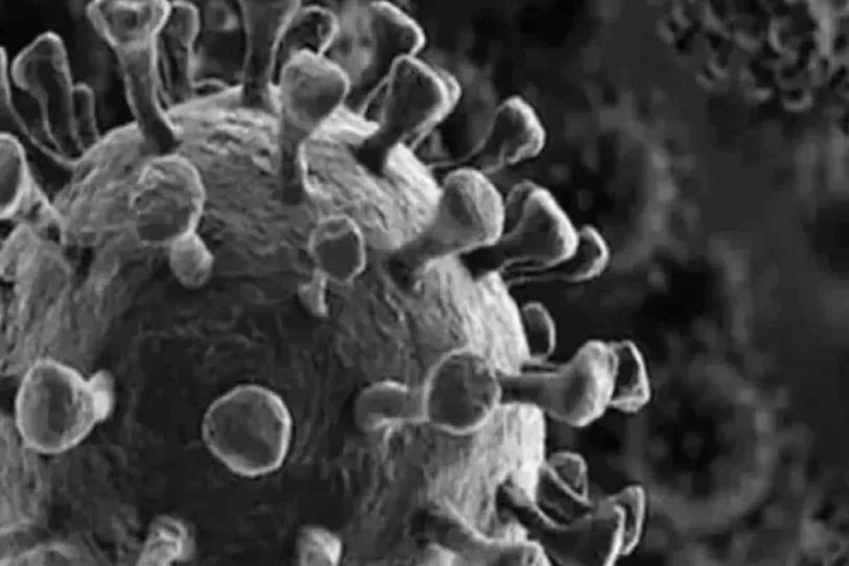 દરમિયાન રાજ્યમાં ગઈકાલે કોરોના વાયરસ (Coronavirus)ના 1152 નવા કેસ નોંધાયા છે જ્યારે 1078 દર્દી સાજા થયા હતા. આ પૈકીના 190 કેસ અમદાવાદમાં નોંધાયા હતા. અમદાવાદમાં ફરી કોરોના વાયરસનું સંક્રમણ વધ્યું છે અને તેના કારણે સ્થિતિ ગંભીર બની રહી છે. ગઈકાલે અમદાવાદ-શહેર જિલ્લાના મળીને કુલ 219 નવા કેસ નોંધાયા છે. દરમિયાન રાજ્યમાં ગઈકાલે કોરોના વાયરસ (Coronavirus)ના 1152 નવા કેસ નોંધાયા છે જ્યારે 1078 દર્દી સાજા થયા હતા. આ પૈકીના 190 કેસ અમદાવાદમાં નોંધાયા હતા. અમદાવાદમાં ફરી કોરોના વાયરસનું સંક્રમણ વધ્યું છે અને તેના કારણે સ્થિતિ ગંભીર બની રહી છે. ગઈકાલે અમદાવાદ-શહેર જિલ્લાના મળીને કુલ 219 નવા કેસ નોંધાયા છે.