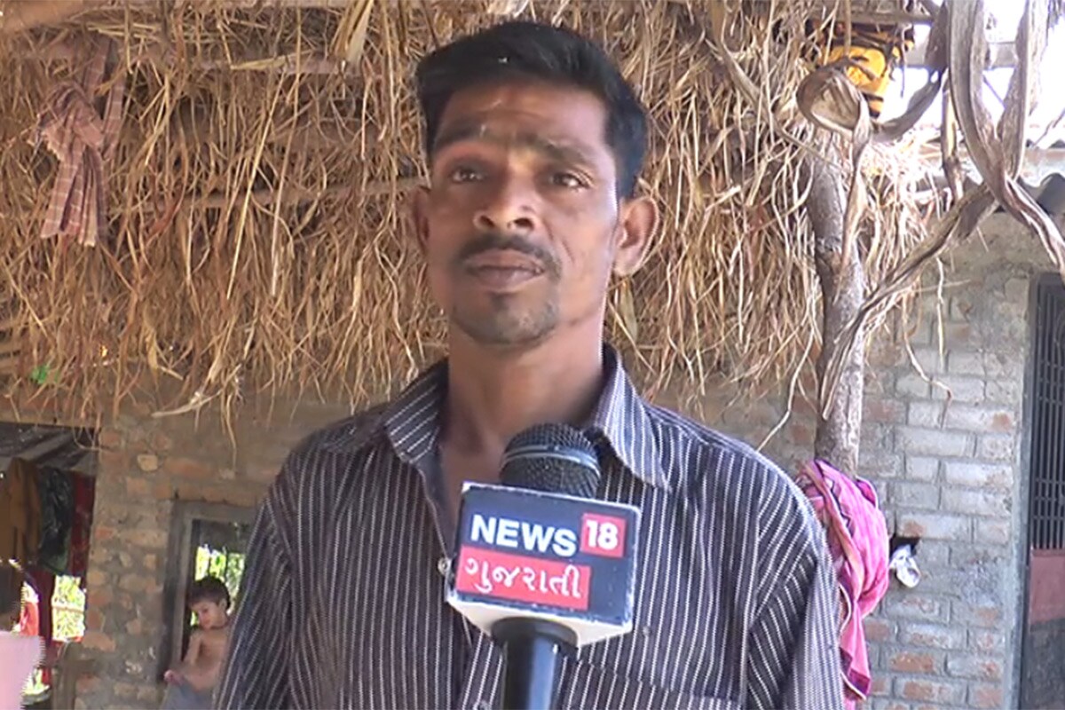 હાલ જિલ્લાના ખેડૂતો હાલ હાઈબ્રીડ બિયારણોના ઉપયોગ તરફ વળ્યા છે. અગાઉની જૂના બિયારણો વાપરવાની પદ્ધતિમાં બદલાવ લાવવાના કારણે ખેડૂતોને પાકની ઉપજમાં 40 ટકાથી વધુનો વધારો થયો છે. ખેતીવાડી વિભાગના મત પ્રમાણે હાલ ખાનગી કંપનીઓ પણ બિયારણોનું વેચાણ કરી રહી છે. એવી જ રીતે સરકાર માન્ય પરીક્ષણ કરાયેલા બિયારણો ઉપલબ્ધ છે, જેથી ખેડૂતો સર્ટિફાઇડ બિયારણોની ચકાસણી કરી ઉપયોગ કરે એ જરૂરી છે. હાલ જિલ્લાના ખેડૂતો હાલ હાઈબ્રીડ બિયારણોના ઉપયોગ તરફ વળ્યા છે. અગાઉની જૂના બિયારણો વાપરવાની પદ્ધતિમાં બદલાવ લાવવાના કારણે ખેડૂતોને પાકની ઉપજમાં 40 ટકાથી વધુનો વધારો થયો છે. ખેતીવાડી વિભાગના મત પ્રમાણે હાલ ખાનગી કંપનીઓ પણ બિયારણોનું વેચાણ કરી રહી છે. એવી જ રીતે સરકાર માન્ય પરીક્ષણ કરાયેલા બિયારણો ઉપલબ્ધ છે, જેથી ખેડૂતો સર્ટિફાઇડ બિયારણોની ચકાસણી કરી ઉપયોગ કરે એ જરૂરી છે.