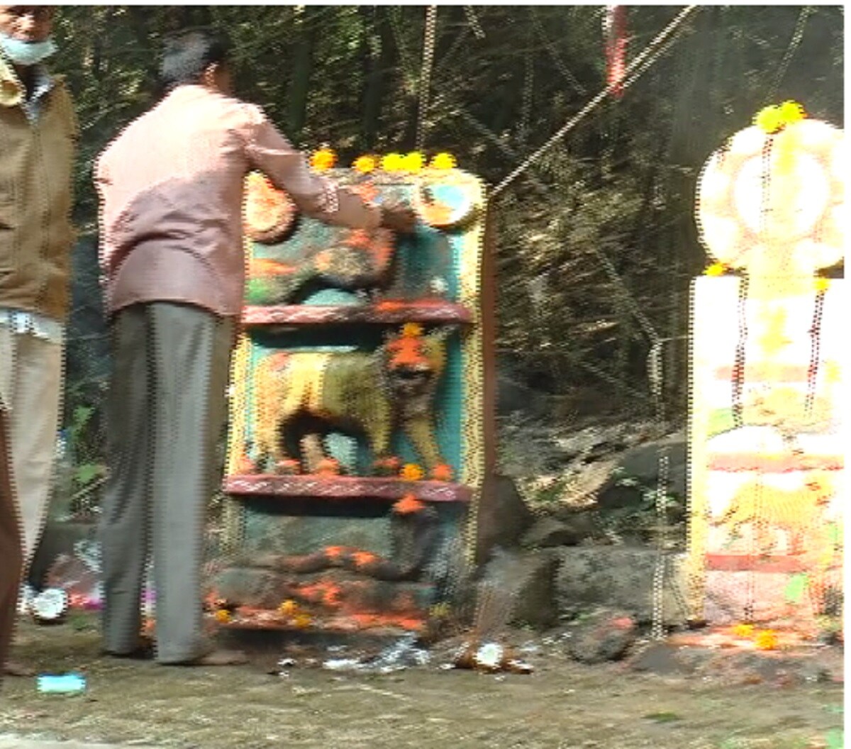 વાઘ બારસનો દિવસ એટલે આ બાધા મૂકવાનો દિવસ, આજના દિવસે લોકો હિંસક પ્રાણીઓને શ્રીફળ, ચોખા અને મરઘાનો ખોરાક અર્પણ કરે છે. તેઓ પ્રાર્થના કરે છે કે, આવનારા સમયમાં તેમના પાલતુ જનાવરોને વાઘદેવ દ્વારા કોઈ હુમલો ન કરે. વાઘ બારસનો દિવસ એટલે આ બાધા મૂકવાનો દિવસ, આજના દિવસે લોકો હિંસક પ્રાણીઓને શ્રીફળ, ચોખા અને મરઘાનો ખોરાક અર્પણ કરે છે. તેઓ પ્રાર્થના કરે છે કે, આવનારા સમયમાં તેમના પાલતુ જનાવરોને વાઘદેવ દ્વારા કોઈ હુમલો ન કરે.