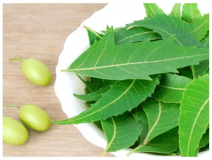 જો ડાયાબિટીસની સમસ્યા હોય તો દરરોજ સવારે લીમડાના દસ પાન ચાવીને ખાઈ જાવ તો તમારુ ડાયાબીટીસ કંટ્રોલમાં રહેશે. જો ડાયાબિટીસની સમસ્યા હોય તો દરરોજ સવારે લીમડાના દસ પાન ચાવીને ખાઈ જાવ તો તમારુ ડાયાબીટીસ કંટ્રોલમાં રહેશે.