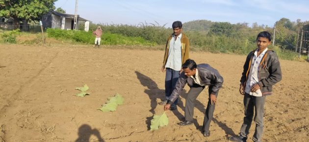 દરમિયાન ગઈકાલે દીપડાએ ઘોઘમ્બાના તરવારીયા ગામના યુવક પર હુમલો કર્યો હતો. મોડી સાંજે ઘર આંગણે ન્હાવા બેઠેલા યુવક પર દીપડાએ હુમલો કર્યો હતો. યુવકે સતર્કતા દાખવી બૂમરાણ મચાવતાં દીપડો ભાગી ગયો હતો. દરમિયાન ગઈકાલે દીપડાએ ઘોઘમ્બાના તરવારીયા ગામના યુવક પર હુમલો કર્યો હતો. મોડી સાંજે ઘર આંગણે ન્હાવા બેઠેલા યુવક પર દીપડાએ હુમલો કર્યો હતો. યુવકે સતર્કતા દાખવી બૂમરાણ મચાવતાં દીપડો ભાગી ગયો હતો.