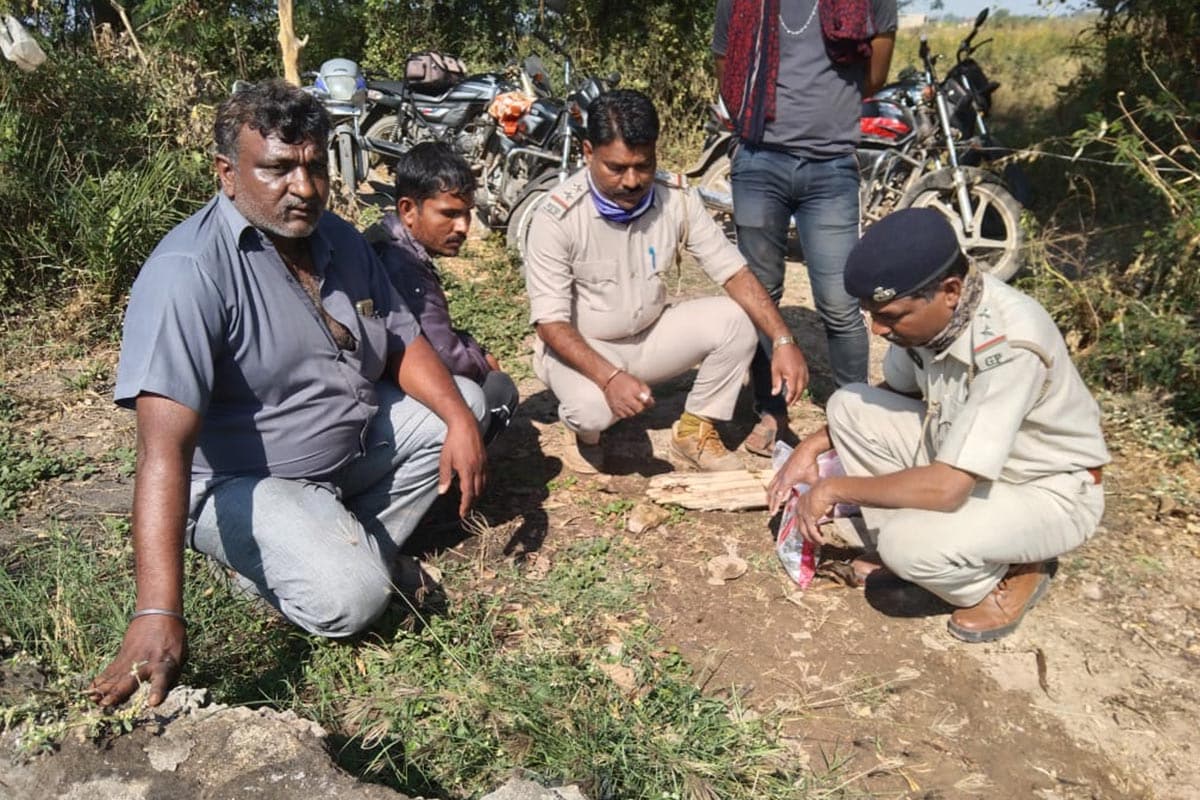 બાળકીને બચાવવા જીવ સટોસટનો જંગ: બાળકીને સિંહ ઢસડી ગયાની જાણીને નજીકમાં રહેલા વન વિભાગના કર્મચારીઓ અને ગામ લોકોએ સિંહના મોઢામાંથી બાળકીને છોડાવવા માટે જીવ જોખમમાં મૂકીને જંગ ખેલ્યો હતો. જોકે, સિંહે બાળકીને છોડી ન હતી. તમામ લોકો બાળકીને છોડાવવાનો પ્રયાસ કરતા હતા ત્યારે બીજો સિંહ તેમના પર હુમલો કરતો હતો. ઉલ્લેખનીય છે કે મનુષ્યનું મારણ કરનાર સિંહોનો આજીવન કેદની સજા ફટકારવામાં આવતી હોય છે. એટલે કે આવા સિંહોને પકડીને જંગલમાં નથી છોડવામાં આવતા. સામાન્ય રીતે સિંહોને પકડ્યા બાદ તેના નખ અને દાંતની તેમજ તેમના મળની તપાસ કરવામાં આવતી હોય છે. તેમાં મનુષ્યના બોડી પાર્ટ્સ મળી આવ્યા બાદ નક્કી કરવામાં આવે છે કે આ જ સિંહે મનુષ્યનું મારણ કર્યું હતું. મળતી માહિતી પ્રમાણે જે સિંહોએ બાળકી પર હુમલો કર્યો હતો તે ખૂબ જ આક્રોશમાં હતો. બાળકીને બચાવવા જીવ સટોસટનો જંગ: બાળકીને સિંહ ઢસડી ગયાની જાણીને નજીકમાં રહેલા વન વિભાગના કર્મચારીઓ અને ગામ લોકોએ સિંહના મોઢામાંથી બાળકીને છોડાવવા માટે જીવ જોખમમાં મૂકીને જંગ ખેલ્યો હતો. જોકે, સિંહે બાળકીને છોડી ન હતી. તમામ લોકો બાળકીને છોડાવવાનો પ્રયાસ કરતા હતા ત્યારે બીજો સિંહ તેમના પર હુમલો કરતો હતો. ઉલ્લેખનીય છે કે મનુષ્યનું મારણ કરનાર સિંહોનો આજીવન કેદની સજા ફટકારવામાં આવતી હોય છે. એટલે કે આવા સિંહોને પકડીને જંગલમાં નથી છોડવામાં આવતા. સામાન્ય રીતે સિંહોને પકડ્યા બાદ તેના નખ અને દાંતની તેમજ તેમના મળની તપાસ કરવામાં આવતી હોય છે. તેમાં મનુષ્યના બોડી પાર્ટ્સ મળી આવ્યા બાદ નક્કી કરવામાં આવે છે કે આ જ સિંહે મનુષ્યનું મારણ કર્યું હતું. મળતી માહિતી પ્રમાણે જે સિંહોએ બાળકી પર હુમલો કર્યો હતો તે ખૂબ જ આક્રોશમાં હતો.