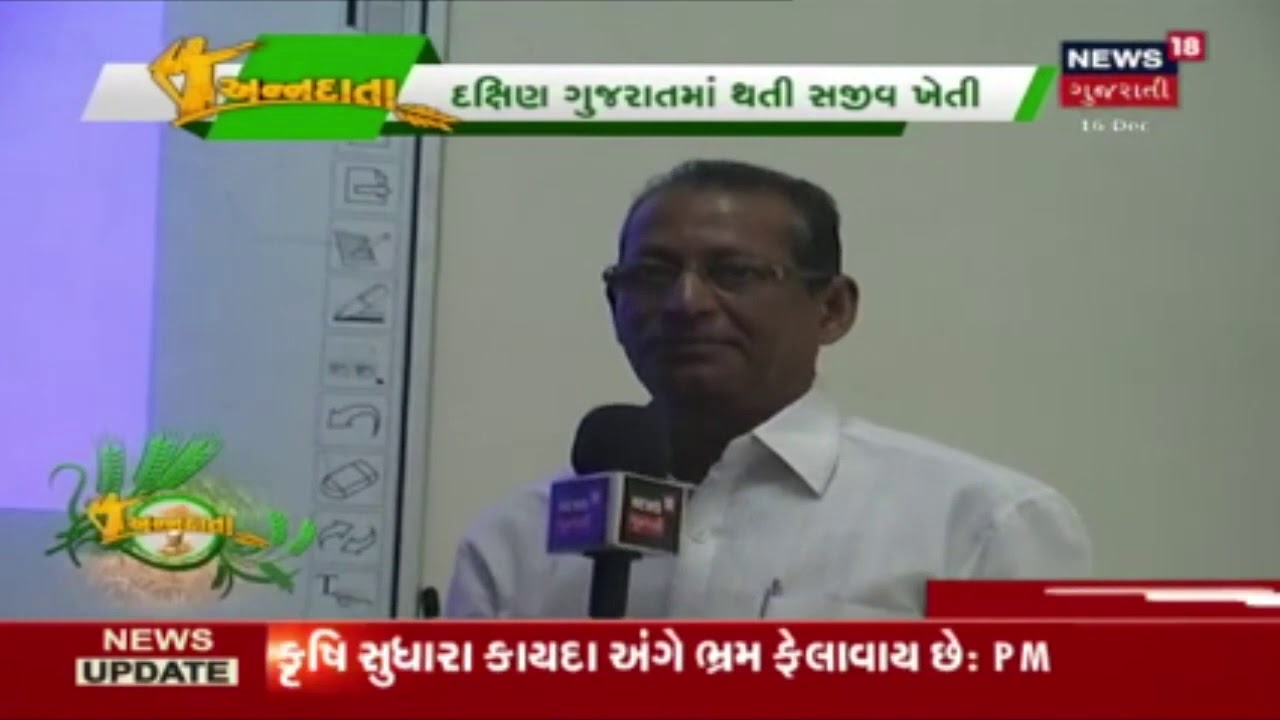 ANNADATA : આજે જાણીએ આંબાવાડીના આંતરપાક વિષે