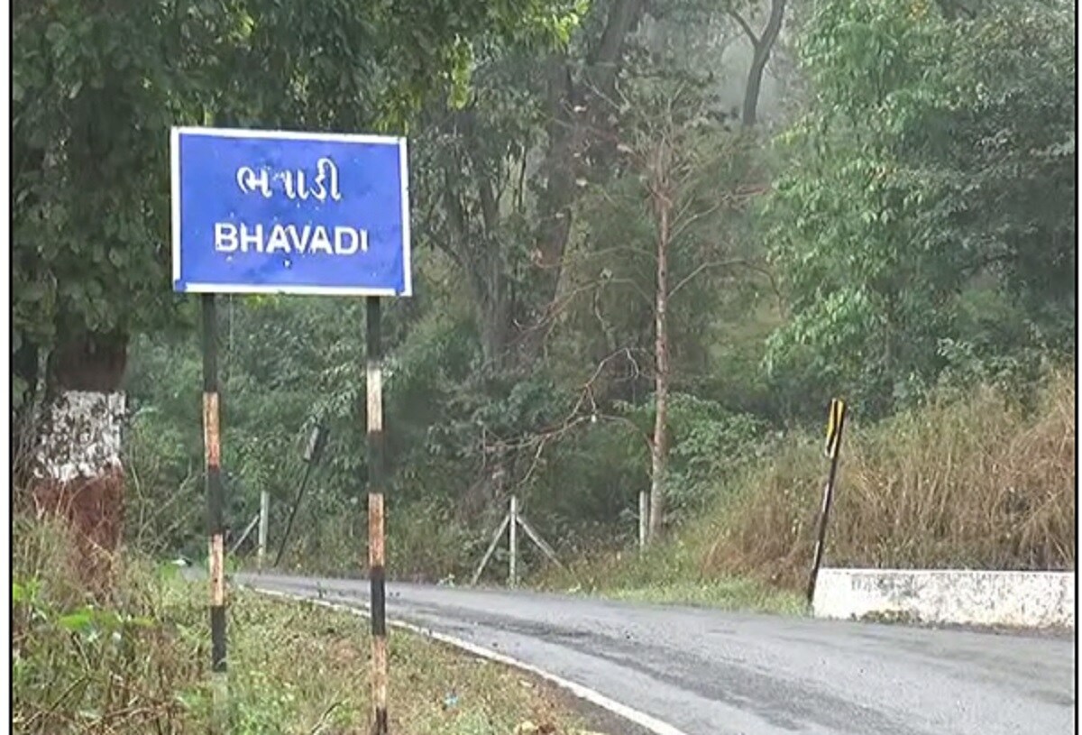 ડાંગ જીલ્લાના નાનકડા ભાવાડી ગામમાં રહેતા જયેશભાઈ મોકાસી વર્ષોથી આ ચિત્રો બનાવે છે. જોકે, જયેશભાઈએ પરંપરાગત ચિત્રકળાને નવું રૂપ આપ્યું છે. ચોખામાંથી બનાવતા રંગના બદલે તેઓ પાકા એક્રેલિક કલરનો ઉપયોગ કરે છે. અને કાચી દીવાલના સ્થાને કેનવાસ ઉપર તેઓ ચિત્રો દોરે છે. જયેશભાઈએ તેમના ઘરને એક આર્ટ ગેલેરી બનાવી દીધી છે. જ્યાં નાના મોટા અસંખ્ય ચિત્રો જોવા મળે છે. ડાંગ જીલ્લાના નાનકડા ભાવાડી ગામમાં રહેતા જયેશભાઈ મોકાસી વર્ષોથી આ ચિત્રો બનાવે છે. જોકે, જયેશભાઈએ પરંપરાગત ચિત્રકળાને નવું રૂપ આપ્યું છે. ચોખામાંથી બનાવતા રંગના બદલે તેઓ પાકા એક્રેલિક કલરનો ઉપયોગ કરે છે. અને કાચી દીવાલના સ્થાને કેનવાસ ઉપર તેઓ ચિત્રો દોરે છે. જયેશભાઈએ તેમના ઘરને એક આર્ટ ગેલેરી બનાવી દીધી છે. જ્યાં નાના મોટા અસંખ્ય ચિત્રો જોવા મળે છે.