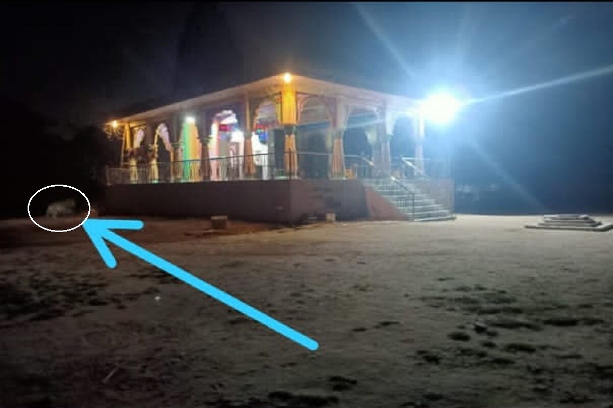 મળતી માહિતી પ્રમાણે શહેરના વસ્ત્રાલ વિસ્તારમાં દીપડો ફરતો હોવાથી લોકોમાં ફફડાટ વ્યાપી ગયો છે. માત્ર એટલું જ નહીં, ગામના લોકોને ખુલ્લામાં નહિ સુવા અને સાવચેત રહેવા ફોરેસ્ટ વિભાગે સૂચના આપી. તેમજ ક્યાંય પણ દીપડો દેખાય તો વન વિભાગને જાણ કરવા પણ જણાવ્યું છે. મળતી માહિતી પ્રમાણે શહેરના વસ્ત્રાલ વિસ્તારમાં દીપડો ફરતો હોવાથી લોકોમાં ફફડાટ વ્યાપી ગયો છે. માત્ર એટલું જ નહીં, ગામના લોકોને ખુલ્લામાં નહિ સુવા અને સાવચેત રહેવા ફોરેસ્ટ વિભાગે સૂચના આપી. તેમજ ક્યાંય પણ દીપડો દેખાય તો વન વિભાગને જાણ કરવા પણ જણાવ્યું છે.