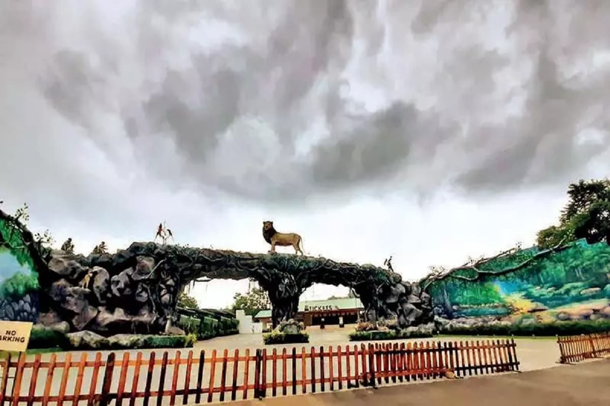 દિપક પટેલ, નર્મદા : પ્રવાસીઓ માટે એક સારા સમાચાર છે. હવે નર્મદા (Narmada) જિલ્લાના સ્ટેચ્યૂ ઓફ યુનિટી (Statue Of Unity) ખાતેના જંગલ સફારી પાર્કમાં (Safari park) પ્રવાસીઓ માટે ટિકિટ (Online Tickits) માટે સ્લોટ હટાવી દેવામાં આવ્યા છે. હવે પ્રવાસીઓને ઓનલાઇન ટિકિટ સહેલાયથી મળી શકશે. કોરોના મહામારીને કારણે જંગલ સફારી પાર્ક 6 મહિના બંધ રાખવામાં આવ્યું અને 31 ઓક્ટોબરના દિવસથી પ્રવસીઓ માટે સ્લોટ બનાવવામાં આવ્યાં હતા. જેમાં માર્યાદિત ટિકિટ આપવામાં આવતી હતી. જેથી કોરોના સંક્રમણ વધુ ન ફેલાય. જોકે, આ ઓનલાઇન ટિકિટમાં કેટલાક પ્રવાસીઓ ને ટિકિટ ન મળતા નિરાશ થયા હતા. જેને જંગલ સફારી પાર્કના વહીવટદારો દ્વારા ઓનલાઇન ટિકિટની મર્યાદા કાઢી નાખી ઓલટાઈમ ઓનલાઇન ટિકિટ કરી દેતા પ્રવાસીઓમાં આનંદ છવાયો અને હવે પ્રવાસીઓ મોટી સંખ્યામાં જંગલ સફારી પાર્કમાં ઉમટી રહ્યા છે. દિપક પટેલ, નર્મદા : પ્રવાસીઓ માટે એક સારા સમાચાર છે. હવે નર્મદા (Narmada) જિલ્લાના સ્ટેચ્યૂ ઓફ યુનિટી (Statue Of Unity) ખાતેના જંગલ સફારી પાર્કમાં (Safari park) પ્રવાસીઓ માટે ટિકિટ (Online Tickits) માટે સ્લોટ હટાવી દેવામાં આવ્યા છે. હવે પ્રવાસીઓને ઓનલાઇન ટિકિટ સહેલાયથી મળી શકશે. કોરોના મહામારીને કારણે જંગલ સફારી પાર્ક 6 મહિના બંધ રાખવામાં આવ્યું અને 31 ઓક્ટોબરના દિવસથી પ્રવસીઓ માટે સ્લોટ બનાવવામાં આવ્યાં હતા. જેમાં માર્યાદિત ટિકિટ આપવામાં આવતી હતી. જેથી કોરોના સંક્રમણ વધુ ન ફેલાય. જોકે, આ ઓનલાઇન ટિકિટમાં કેટલાક પ્રવાસીઓ ને ટિકિટ ન મળતા નિરાશ થયા હતા. જેને જંગલ સફારી પાર્કના વહીવટદારો દ્વારા ઓનલાઇન ટિકિટની મર્યાદા કાઢી નાખી ઓલટાઈમ ઓનલાઇન ટિકિટ કરી દેતા પ્રવાસીઓમાં આનંદ છવાયો અને હવે પ્રવાસીઓ મોટી સંખ્યામાં જંગલ સફારી પાર્કમાં ઉમટી રહ્યા છે.