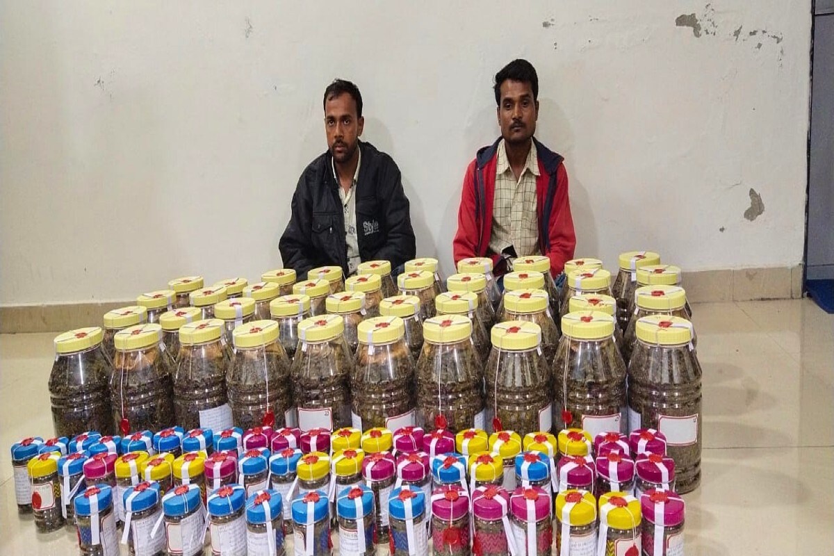 વડોદરા : વડોદરા જિલ્લા એસઓજીની ટીમે ગઈકાલે રાત્રે છોટાઉગેપુર- ડભોઈ હાઇવે પરથી 78 કિલો ગાંજો ઝડપી પાડ્યો છે. ગઈકાલે રાત્રે પીકઅપ ડાલામાં વિવિધ સ્થળો છૂપાવેલા આ ગાંજાના પેકેટ જોઈને પોલીસ ચોંકી ગઈ હતી. પોલીસે કુલ 78 કિલો ગાંજા સાથે 9.87 લાખનો મુદ્દામાલ ઝડપી પાડ્યો છે. વડોદરા : વડોદરા જિલ્લા એસઓજીની ટીમે ગઈકાલે રાત્રે છોટાઉગેપુર- ડભોઈ હાઇવે પરથી 78 કિલો ગાંજો ઝડપી પાડ્યો છે. ગઈકાલે રાત્રે પીકઅપ ડાલામાં વિવિધ સ્થળો છૂપાવેલા આ ગાંજાના પેકેટ જોઈને પોલીસ ચોંકી ગઈ હતી. પોલીસે કુલ 78 કિલો ગાંજા સાથે 9.87 લાખનો મુદ્દામાલ ઝડપી પાડ્યો છે.