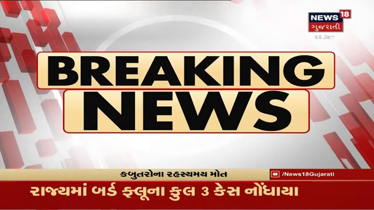 Porbanadar : પશુપાલન વિભાગે મૃત મોરના સેમ્પલ લીધા
