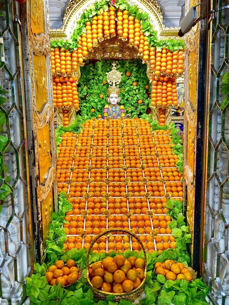 આ વર્ષનું મહત્વ સંતો તથા હરિભક્તોમાં વધારે રહ્યું છે. ભલે વૈશ્વિક મહામારી કોરોના એ લોકોને હંફાવી અને ડરાવી દીધાં છે. પરંતુ પ્રભુના ભક્તો માટે ખાસ વાત એ છે કે આ વર્ષે તેમને સવિશેષ ભક્તિ કરવા મળી છે. પ્રભુ ભક્તિ કરી અને પુણ્યનું ભાથું બાંધવામાં વ્યસ્ત થયા છે. આવા વિકટ પરિસ્થિતિમાં પણ ભકતો ઉત્સાહ અને ભક્તિમાં તરબોળ થઈ તે તે ઉત્સવનો આનંદ ઘરબેઠા માણે છે. શ્રી સ્વામિનારાયણ ગાદીના આચાર્ય જિતેન્દ્રિયપ્રિયદાસજી સ્વામીશ્રીની પ્રેરણા - માર્ગદર્શન સહ શ્રી સ્વામિનારાયણ મંદિર મણિનગરમાં બિરાજમાન અધિષ્ઠાતા સર્વાવતારી શ્રી સ્વામિનારાયણ ભગવાન, જીવનપ્રાણ અબજીબાપાશ્રી તથા સાર્વભૌમ નાદવંશીય પરંપરાના સમક્ષ સંતોએ ભક્તિ ભાવથી ૫૦૦ કિલો કરતાં વધારે સંતરાં કલાત્મક સજાવટ કરી ધરાવ્યા હતાં. આ ફળોત્સવમાં સ્થાનિક સંતો જ જોડાયા હતા અને કોરોના માટે જાહેર કરવામાં આવેલી માર્ગદર્શિકાનું ખાસ ધ્યાન રાખવામાં આવ્યું હતું. જોકે મંદિરમાં જે રીતે ફળોત્સવ ઉજવવામાં આવ્યો હતો તેનાં ઓનલાઇન દર્શન કરી સૌ ભકતો તથા ભાવિકો પણ પ્રસન્ન થઈ ગયા હતા. આ વર્ષનું મહત્વ સંતો તથા હરિભક્તોમાં વધારે રહ્યું છે. ભલે વૈશ્વિક મહામારી કોરોના એ લોકોને હંફાવી અને ડરાવી દીધાં છે. પરંતુ પ્રભુના ભક્તો માટે ખાસ વાત એ છે કે આ વર્ષે તેમને સવિશેષ ભક્તિ કરવા મળી છે. પ્રભુ ભક્તિ કરી અને પુણ્યનું ભાથું બાંધવામાં વ્યસ્ત થયા છે. આવા વિકટ પરિસ્થિતિમાં પણ ભકતો ઉત્સાહ અને ભક્તિમાં તરબોળ થઈ તે તે ઉત્સવનો આનંદ ઘરબેઠા માણે છે. શ્રી સ્વામિનારાયણ ગાદીના આચાર્ય જિતેન્દ્રિયપ્રિયદાસજી સ્વામીશ્રીની પ્રેરણા - માર્ગદર્શન સહ શ્રી સ્વામિનારાયણ મંદિર મણિનગરમાં બિરાજમાન અધિષ્ઠાતા સર્વાવતારી શ્રી સ્વામિનારાયણ ભગવાન, જીવનપ્રાણ અબજીબાપાશ્રી તથા સાર્વભૌમ નાદવંશીય પરંપરાના સમક્ષ સંતોએ ભક્તિ ભાવથી ૫૦૦ કિલો કરતાં વધારે સંતરાં કલાત્મક સજાવટ કરી ધરાવ્યા હતાં. આ ફળોત્સવમાં સ્થાનિક સંતો જ જોડાયા હતા અને કોરોના માટે જાહેર કરવામાં આવેલી માર્ગદર્શિકાનું ખાસ ધ્યાન રાખવામાં આવ્યું હતું. જોકે મંદિરમાં જે રીતે ફળોત્સવ ઉજવવામાં આવ્યો હતો તેનાં ઓનલાઇન દર્શન કરી સૌ ભકતો તથા ભાવિકો પણ પ્રસન્ન થઈ ગયા હતા.