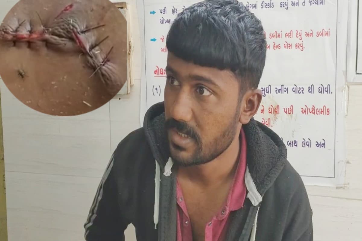 અનિલ માઢક, મહુવા : ગીરના સિંહોએ પોતાના વિસ્તારનો જેમ જેમ વ્યાપ વધાર્યો છે તેમ તેમ ખેડૂતો પર હુમલાના બનાવો વધી રહ્યા છે. ભાવનગર જિલ્લો છેલ્લા કેટલાય વર્ષોથી ગીરના સિંહોનું નવું રહેણાંક તરીકે ઊભરી આવ્યો છે પરંતુ તેની સાથે સાથે રાની પશુનાં આતંકની ઘટનાઓ વધી રહી છે. હજુ તો સિંહના હુમલાની એક ઘટનાની શાહી સૂકાઈ નથી ત્યાં ફરી એકવાર મહુવા-તળાજા પંથકમાં સિંહે ખેડૂત પર હુમલો કર્યો છે. અનિલ માઢક, મહુવા : ગીરના સિંહોએ પોતાના વિસ્તારનો જેમ જેમ વ્યાપ વધાર્યો છે તેમ તેમ ખેડૂતો પર હુમલાના બનાવો વધી રહ્યા છે. ભાવનગર જિલ્લો છેલ્લા કેટલાય વર્ષોથી ગીરના સિંહોનું નવું રહેણાંક તરીકે ઊભરી આવ્યો છે પરંતુ તેની સાથે સાથે રાની પશુનાં આતંકની ઘટનાઓ વધી રહી છે. હજુ તો સિંહના હુમલાની એક ઘટનાની શાહી સૂકાઈ નથી ત્યાં ફરી એકવાર મહુવા-તળાજા પંથકમાં સિંહે ખેડૂત પર હુમલો કર્યો છે.