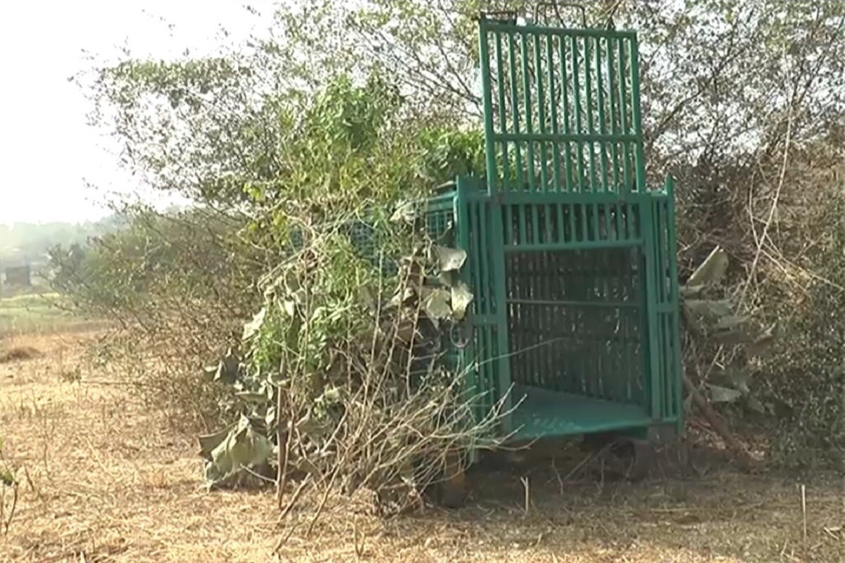 સાબરકાંઠાનુ ઈડર કે જે ગઢ વિસ્તાર છે અને ગઢ પર અનેક કોતરો અને ગુફાઓ છે જેને લઈને દીપડા ત્યા વસવાટ કરે છે. અને રાત્રી દરમિયાન ચરવા કે પાણી પીવા માટે દીપડો આવતો હોય છે ત્યારે ગઈ કાલે મહિવાડા ગામે ખેતરમાં પિતા અને પુત્ર બંને પાણી વાડી રહ્યા હતા ત્યારે દીપડ઼ાએ હુમલો કર્યો હતો. તો પહેલા પિતા ઉપર દીપડાએ હુમલો કર્યો ત્યારે પુત્ર બચાવવા વચ્ચે પડતા પુત્ર પર પણ હુમલો કર્યો હતો. સાબરકાંઠાનુ ઈડર કે જે ગઢ વિસ્તાર છે અને ગઢ પર અનેક કોતરો અને ગુફાઓ છે જેને લઈને દીપડા ત્યા વસવાટ કરે છે. અને રાત્રી દરમિયાન ચરવા કે પાણી પીવા માટે દીપડો આવતો હોય છે ત્યારે ગઈ કાલે મહિવાડા ગામે ખેતરમાં પિતા અને પુત્ર બંને પાણી વાડી રહ્યા હતા ત્યારે દીપડ઼ાએ હુમલો કર્યો હતો. તો પહેલા પિતા ઉપર દીપડાએ હુમલો કર્યો ત્યારે પુત્ર બચાવવા વચ્ચે પડતા પુત્ર પર પણ હુમલો કર્યો હતો.