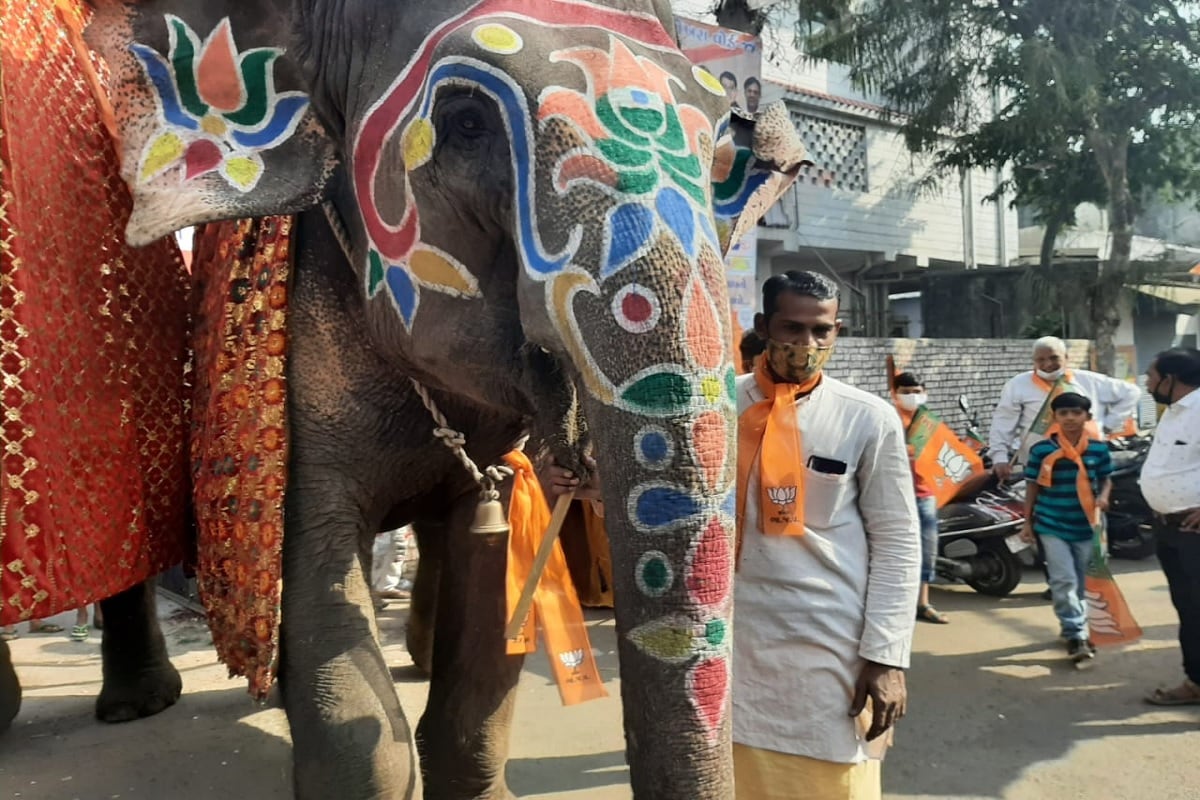 વિભુ પટેલ, અમદાવાદઃ ગુજરાતમાં સ્થાનિક સ્વરાજની ચૂંટણીના (Gujarat local body polls) પડઘમ વાગી ચૂક્યા છે અને દરેક પાર્ટીઓ પોતાના ઉમેદવારોને જીતાડવા માટે મેદાનમાં ઉતરી ગઈ છે. અમદાવાદ મહાનગરપાલિકાની ચૂંટણી (AMC election) જીતવા રાજકીય પક્ષો મેદાને ઉતરી પડ્યા છે. જોરશોરથી પ્રચાર (Election campaign) ચાલી રહ્યો છે. અને રાજકીય પક્ષો મતદારો પાસે હાથ જોડીને મત માંગી રહ્યા છે. વિભુ પટેલ, અમદાવાદઃ ગુજરાતમાં સ્થાનિક સ્વરાજની ચૂંટણીના (Gujarat local body polls) પડઘમ વાગી ચૂક્યા છે અને દરેક પાર્ટીઓ પોતાના ઉમેદવારોને જીતાડવા માટે મેદાનમાં ઉતરી ગઈ છે. અમદાવાદ મહાનગરપાલિકાની ચૂંટણી (AMC election) જીતવા રાજકીય પક્ષો મેદાને ઉતરી પડ્યા છે. જોરશોરથી પ્રચાર (Election campaign) ચાલી રહ્યો છે. અને રાજકીય પક્ષો મતદારો પાસે હાથ જોડીને મત માંગી રહ્યા છે.