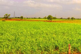 અમદાવાદ: 'અમારી વગ ઉપર સુધી છે, અરજી પાછી નહીં લો તો પાછળથી તકલીફ પડશે'