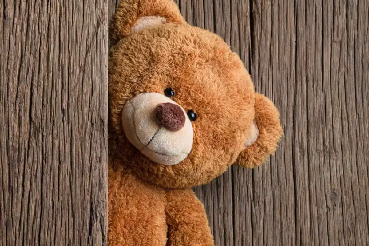 Teddy જ કેમ ગિફટ તરીકે આપવામાં આવે છે? - સામાન્ય રીતે એક ટેડી એક યુવતીનો પહેલો સારો દોસ્ત હોય છે અને તમે તેનાથી સારી ગિફ્ટ એક છોકરીને ન જ આપી શકો. આ ઉપરાંત લોકો ઈચ્છે છે કે કોઈ પુરુષને ક્યારેય ટેડી ગિફ્ટમાં ન આપી શકાય પરંતુ જો તમે ટેડી આપશો તો તે કોઈ વાંધો નહીં ઉઠાવે, ભલે તેને પોતાના કબાટમાં છુપાવી દે. Teddy જ કેમ ગિફટ તરીકે આપવામાં આવે છે? - સામાન્ય રીતે એક ટેડી એક યુવતીનો પહેલો સારો દોસ્ત હોય છે અને તમે તેનાથી સારી ગિફ્ટ એક છોકરીને ન જ આપી શકો. આ ઉપરાંત લોકો ઈચ્છે છે કે કોઈ પુરુષને ક્યારેય ટેડી ગિફ્ટમાં ન આપી શકાય પરંતુ જો તમે ટેડી આપશો તો તે કોઈ વાંધો નહીં ઉઠાવે, ભલે તેને પોતાના કબાટમાં છુપાવી દે.